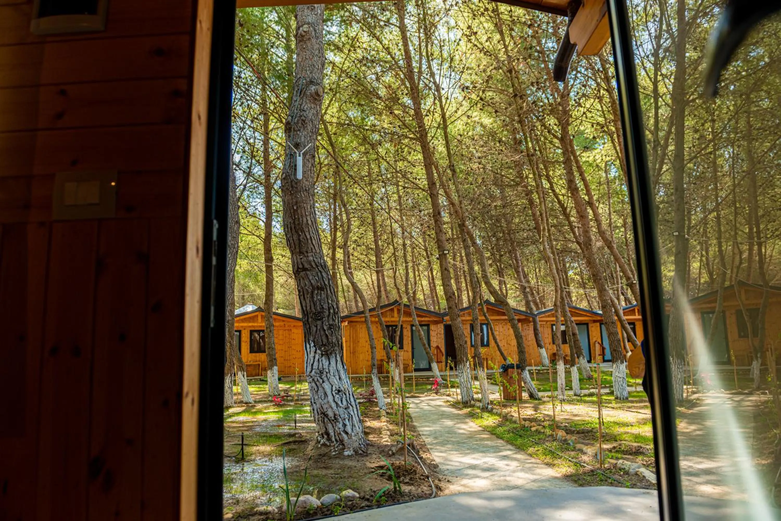 View (from property/room) in ECUADOR Resort