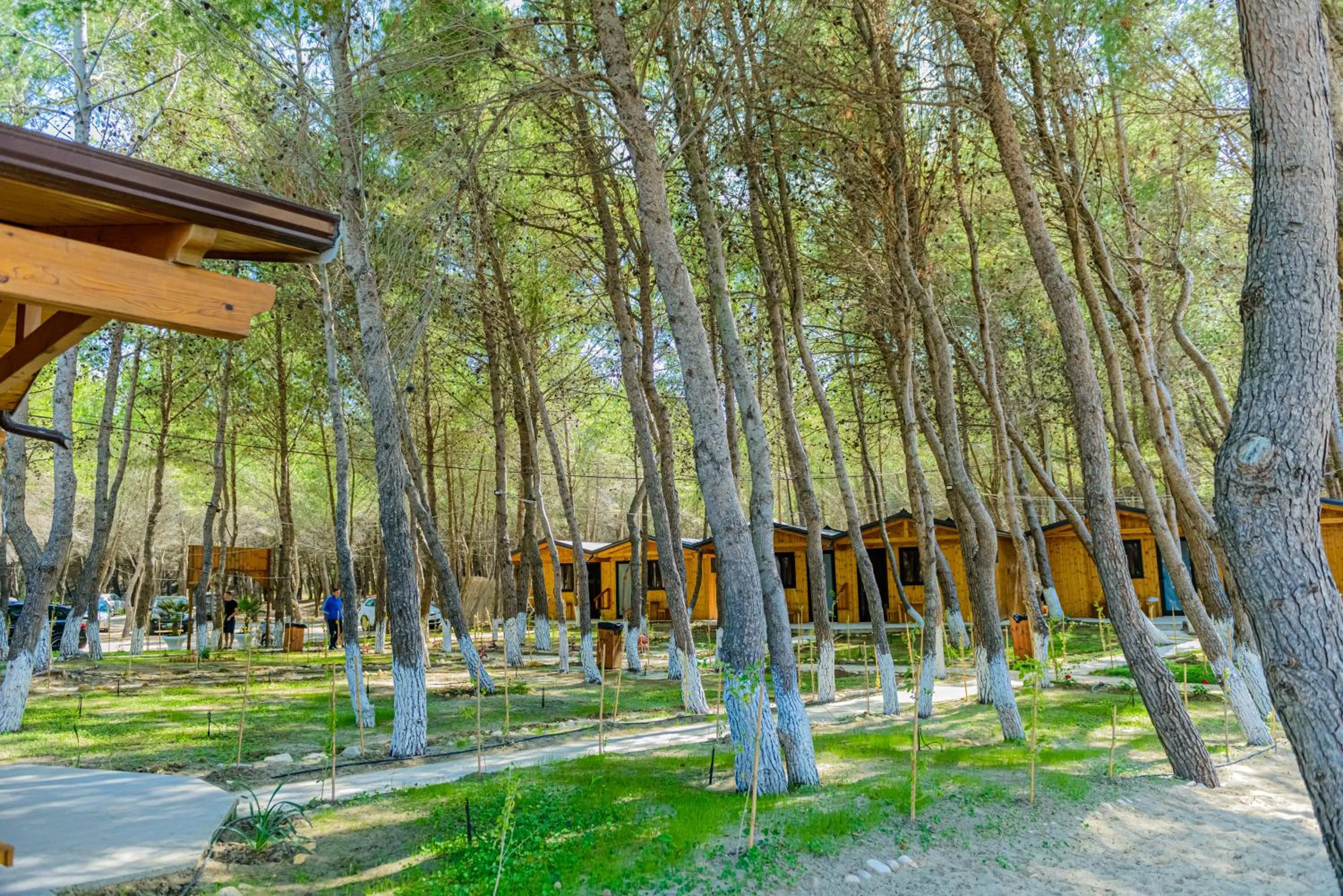 Garden in ECUADOR Resort