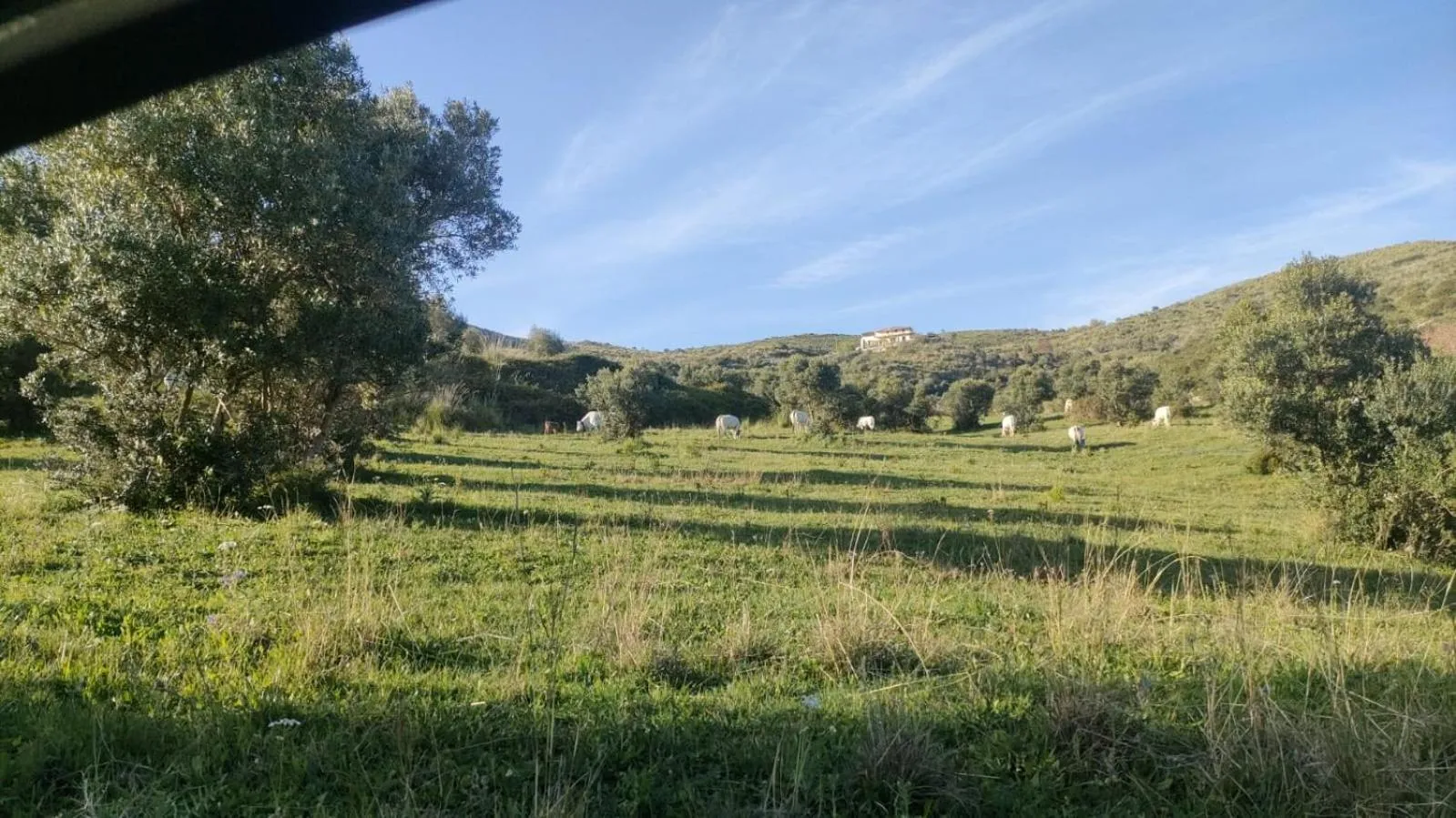 Natural landscape in Il Panorama Housing Cilento