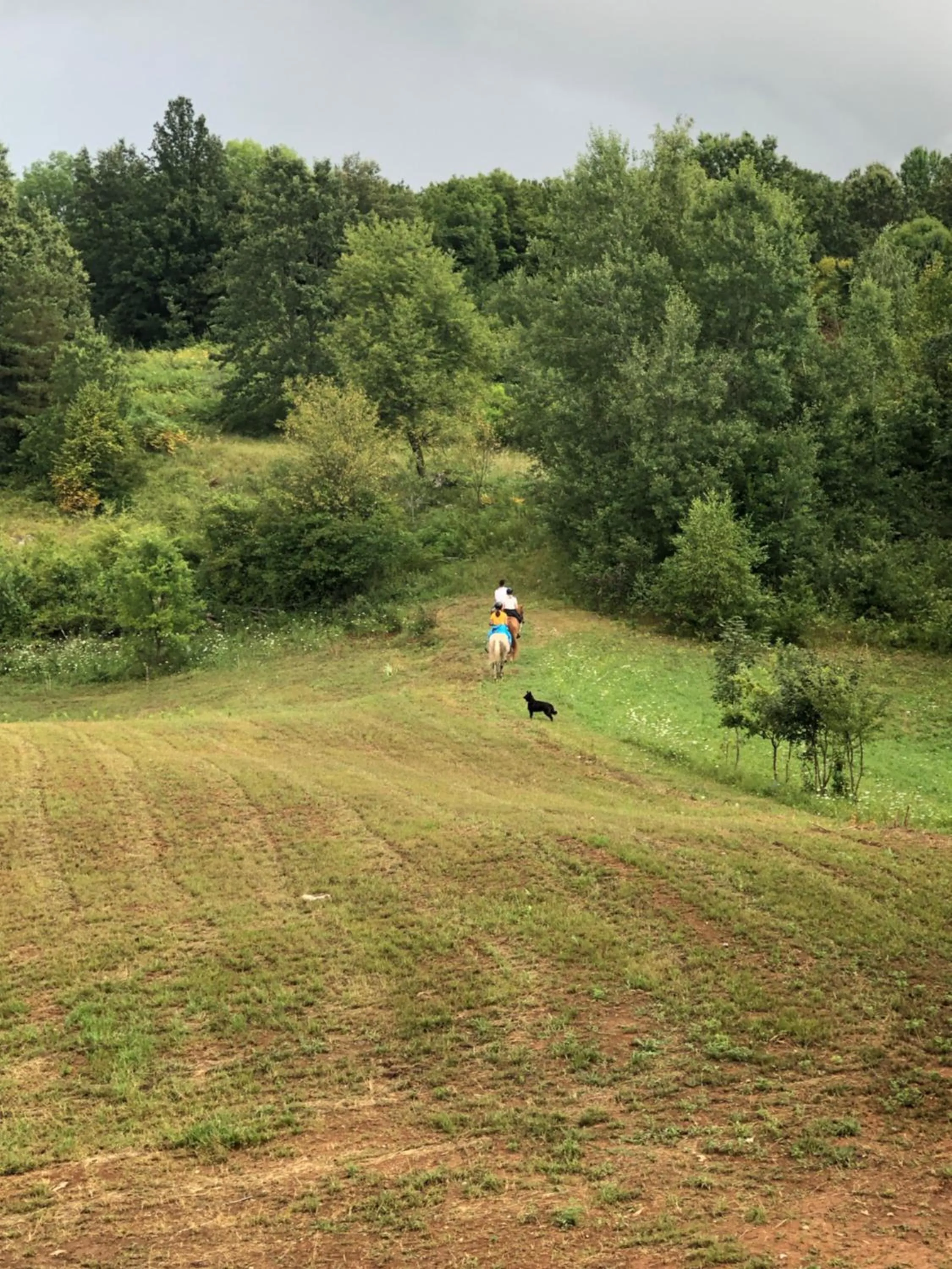 Natural landscape in B&B Villa Dolina Plitvice