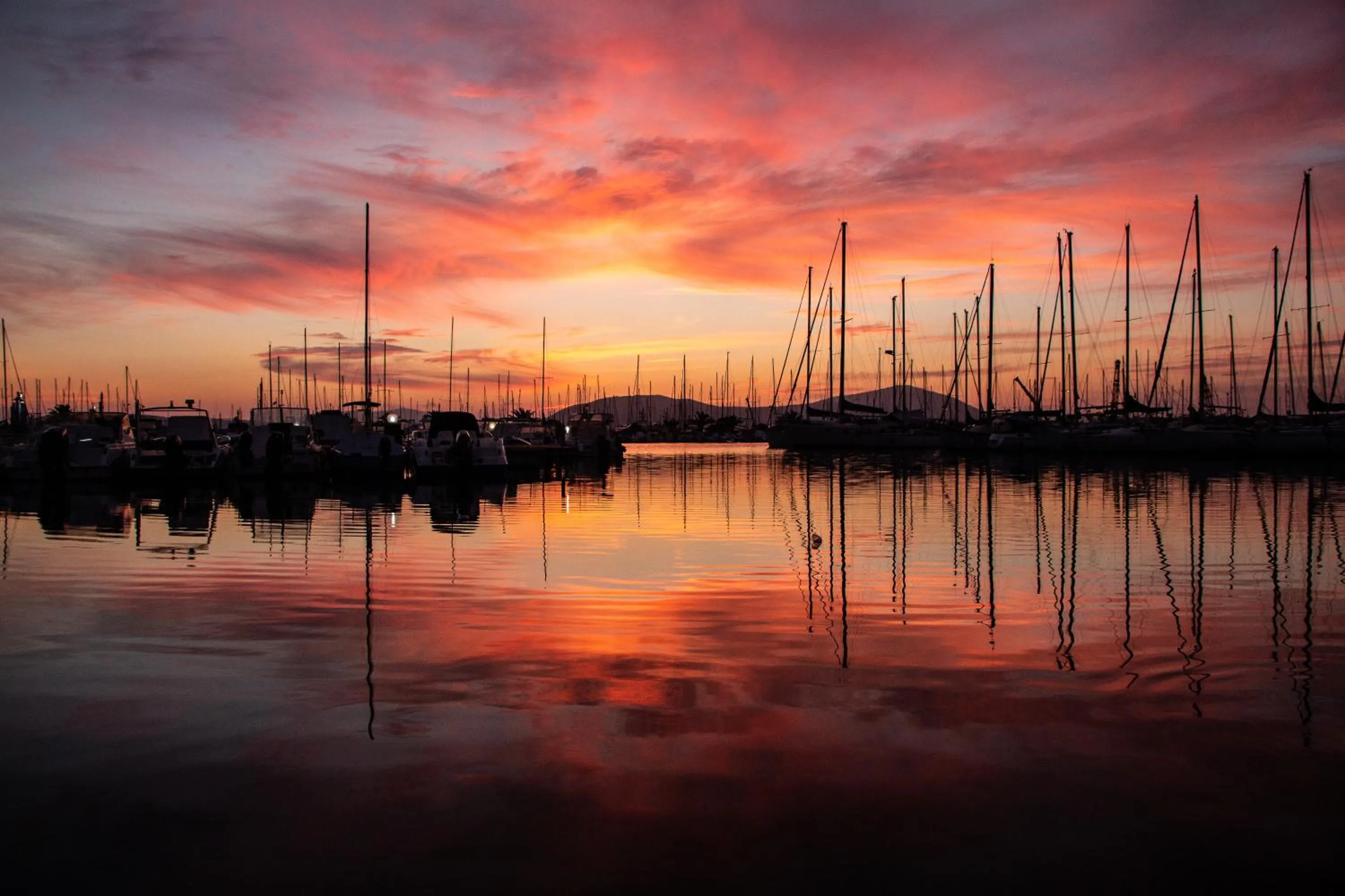 Natural landscape in THE VINEYARDS