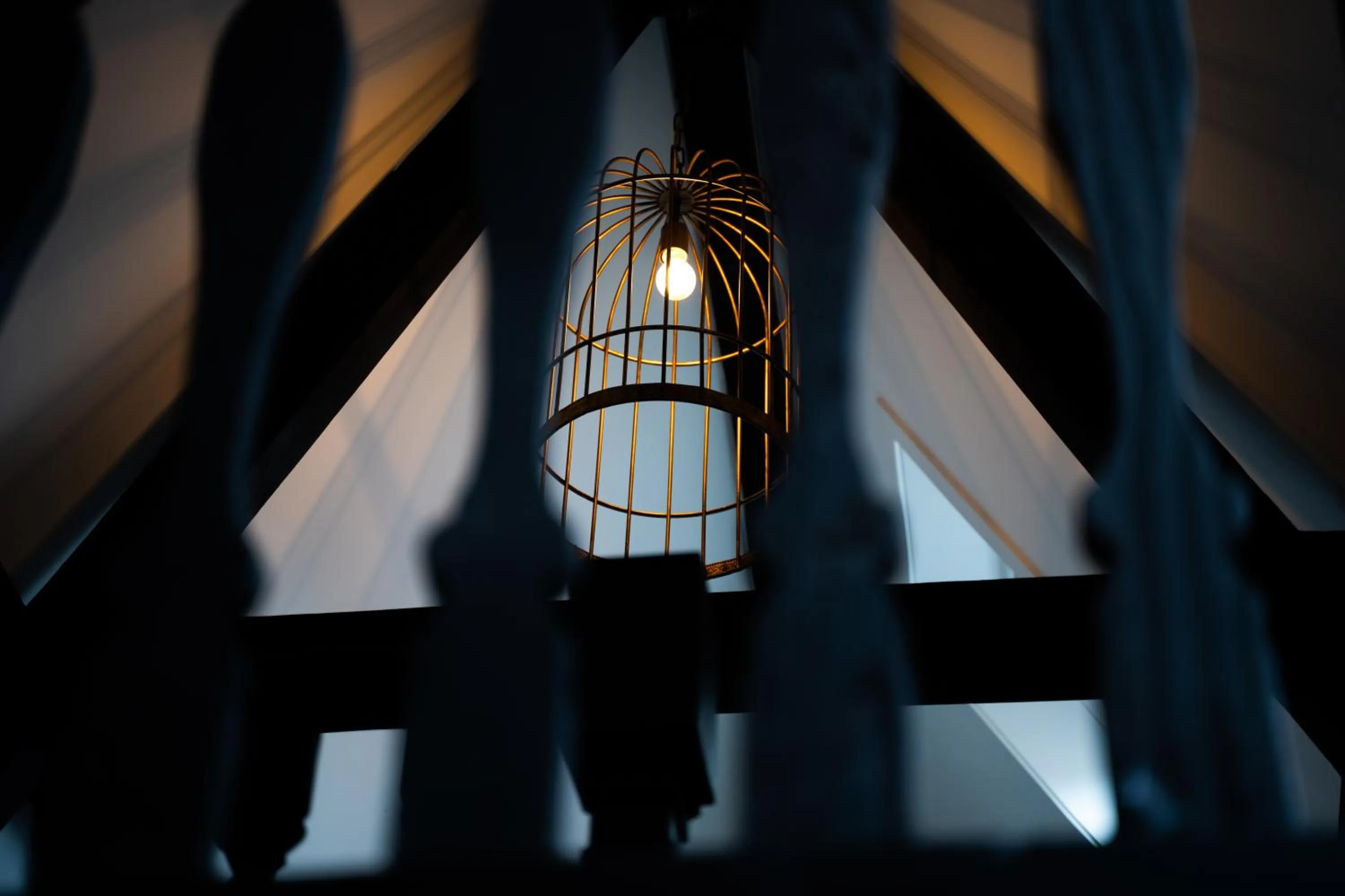 Decorative detail in CTY Books