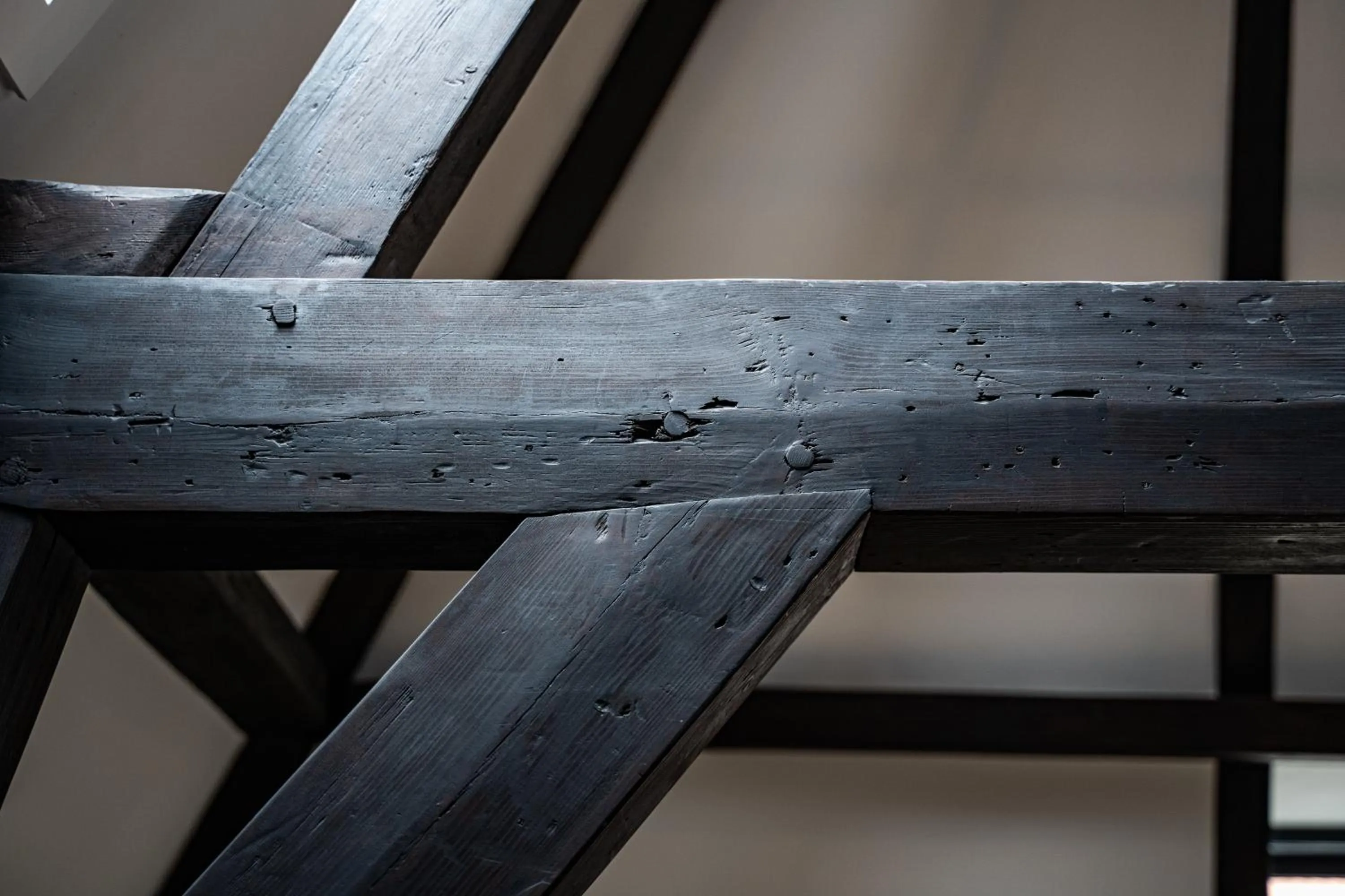 Decorative detail in CTY Books