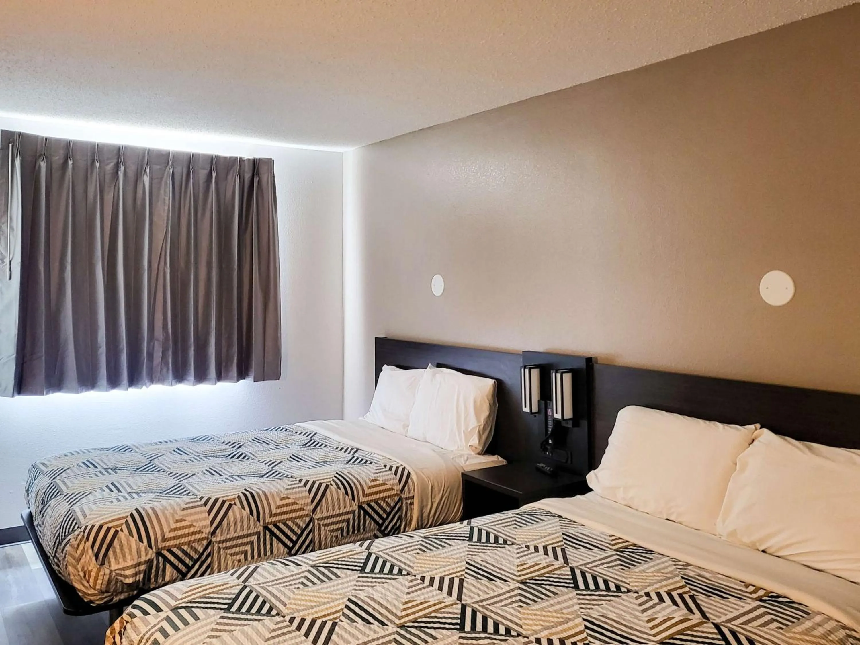 Bedroom, Bed in Motel 6 Sinton TX