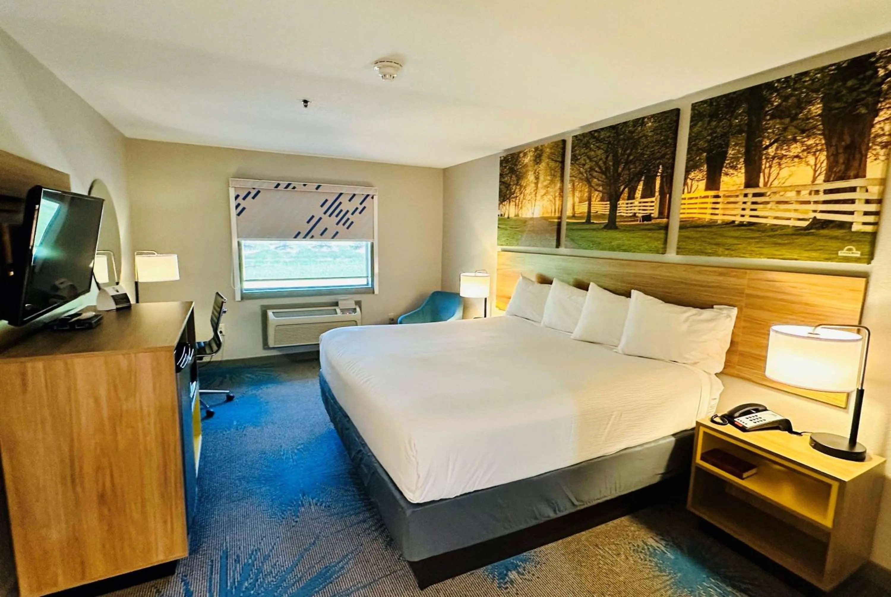 Photo of the whole room, Bed in Days Inn & Suites by Wyndham Wynne