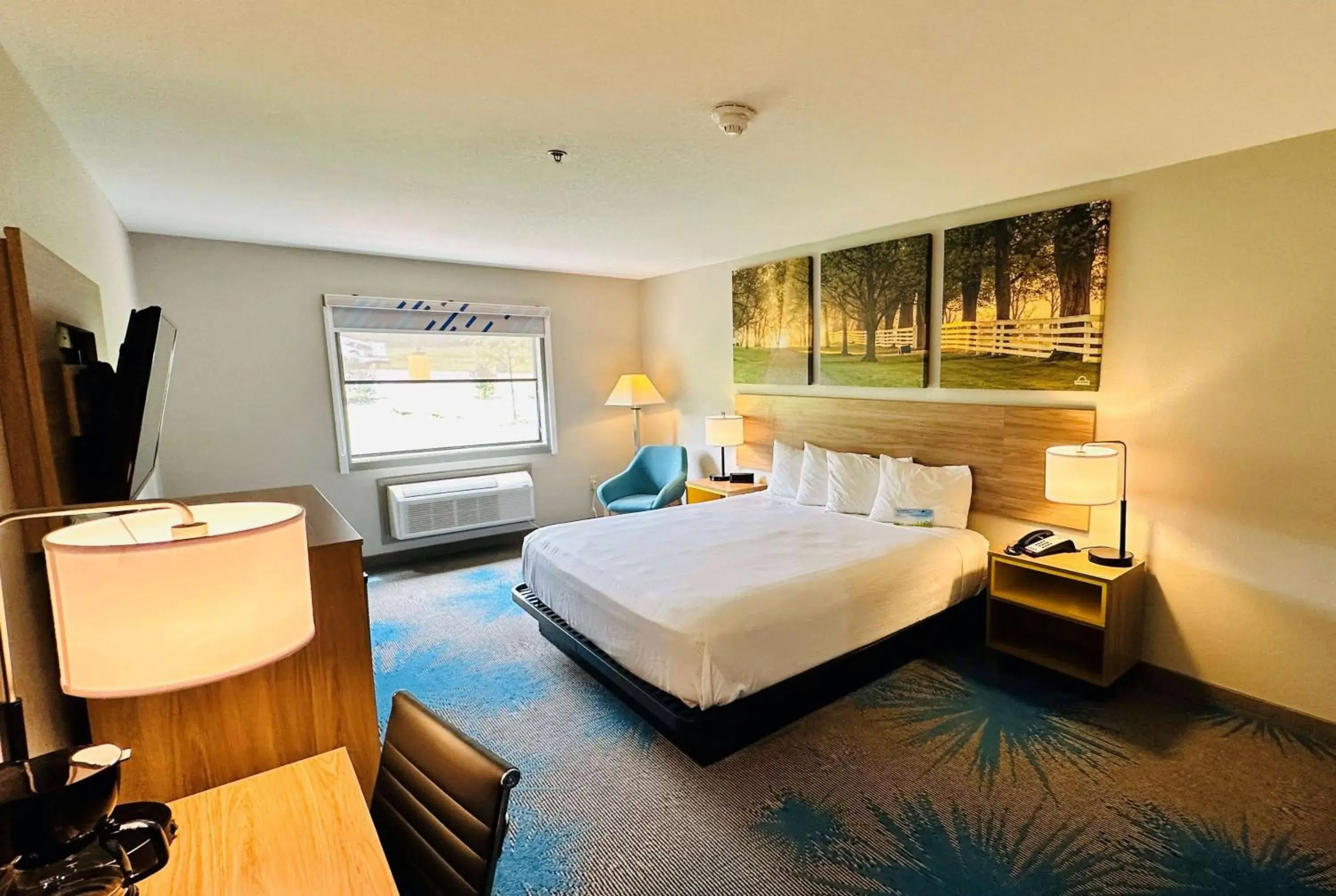 King Room - Mobility Access/Non-Smoking in Days Inn & Suites by Wyndham Wynne King Room - Mobility Access/Non-Smoking in Days Inn & Suites by Wyndham Wynne