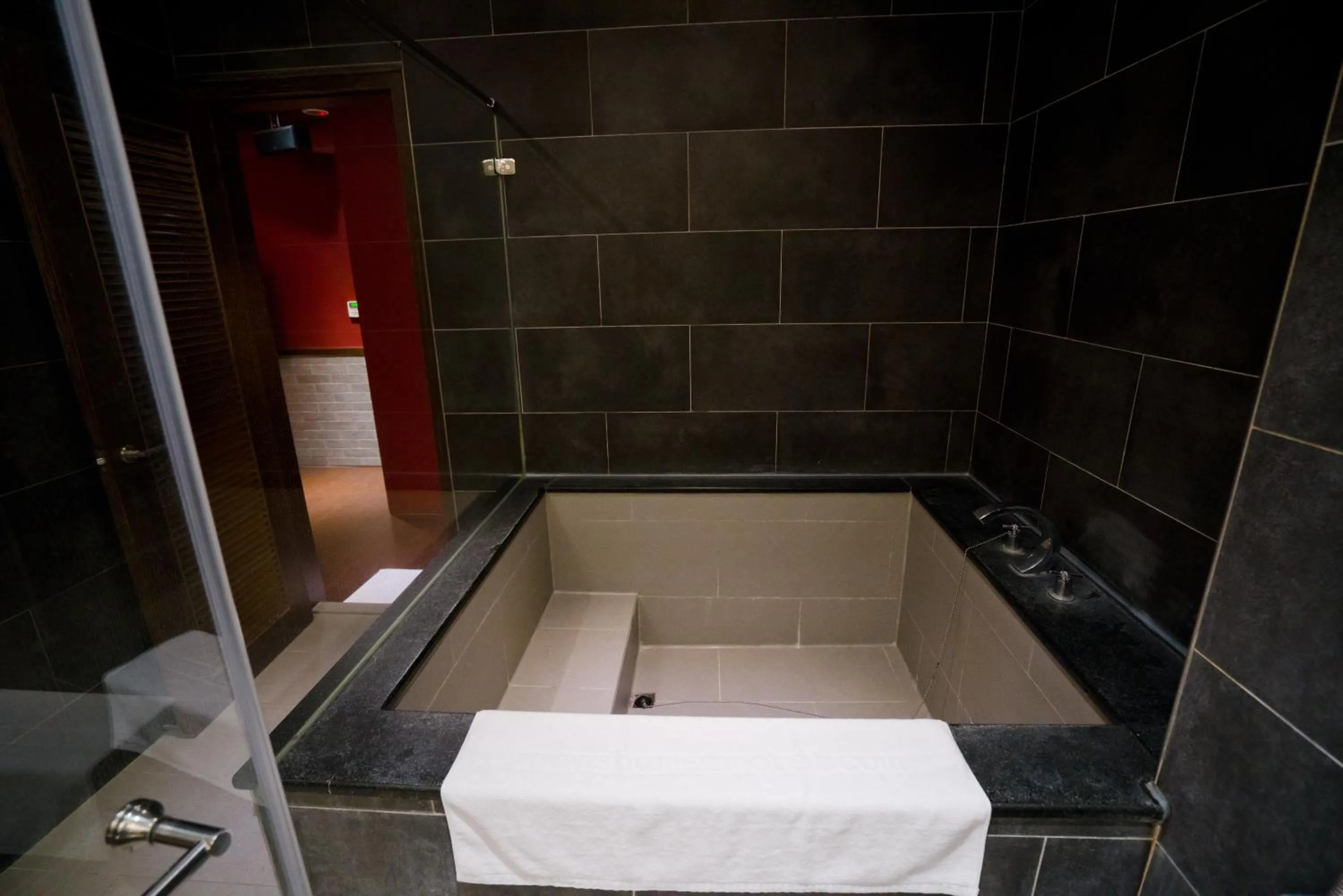 Shower in Hotel Shumei Chiayi