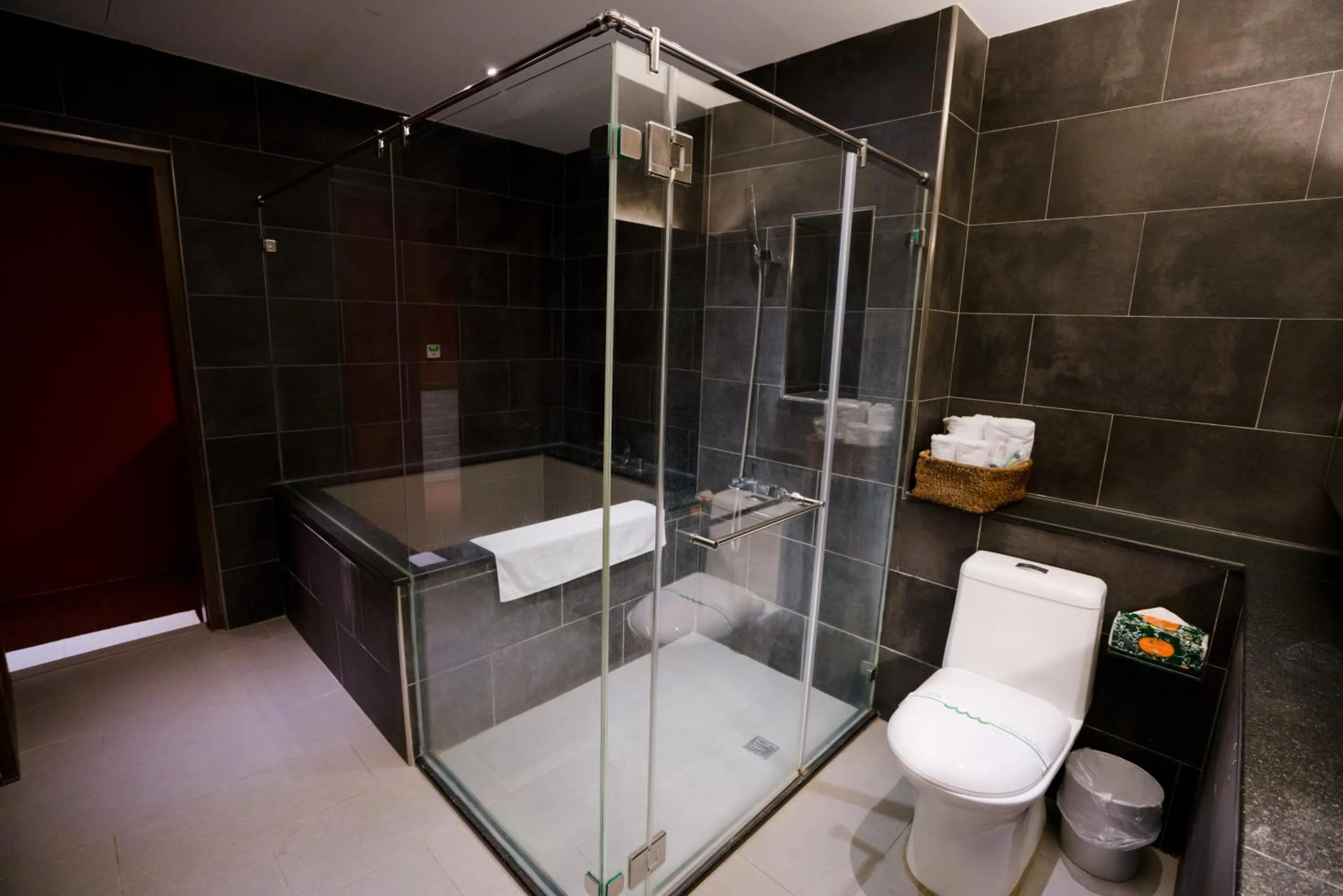 Shower in Hotel Shumei Chiayi