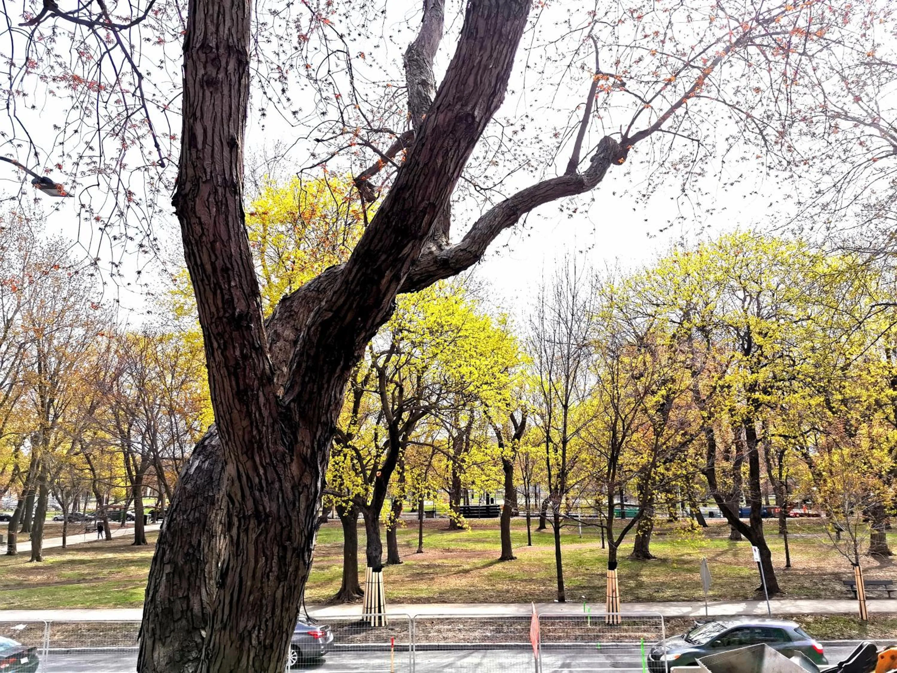 Street view in Accueil Chez Francois