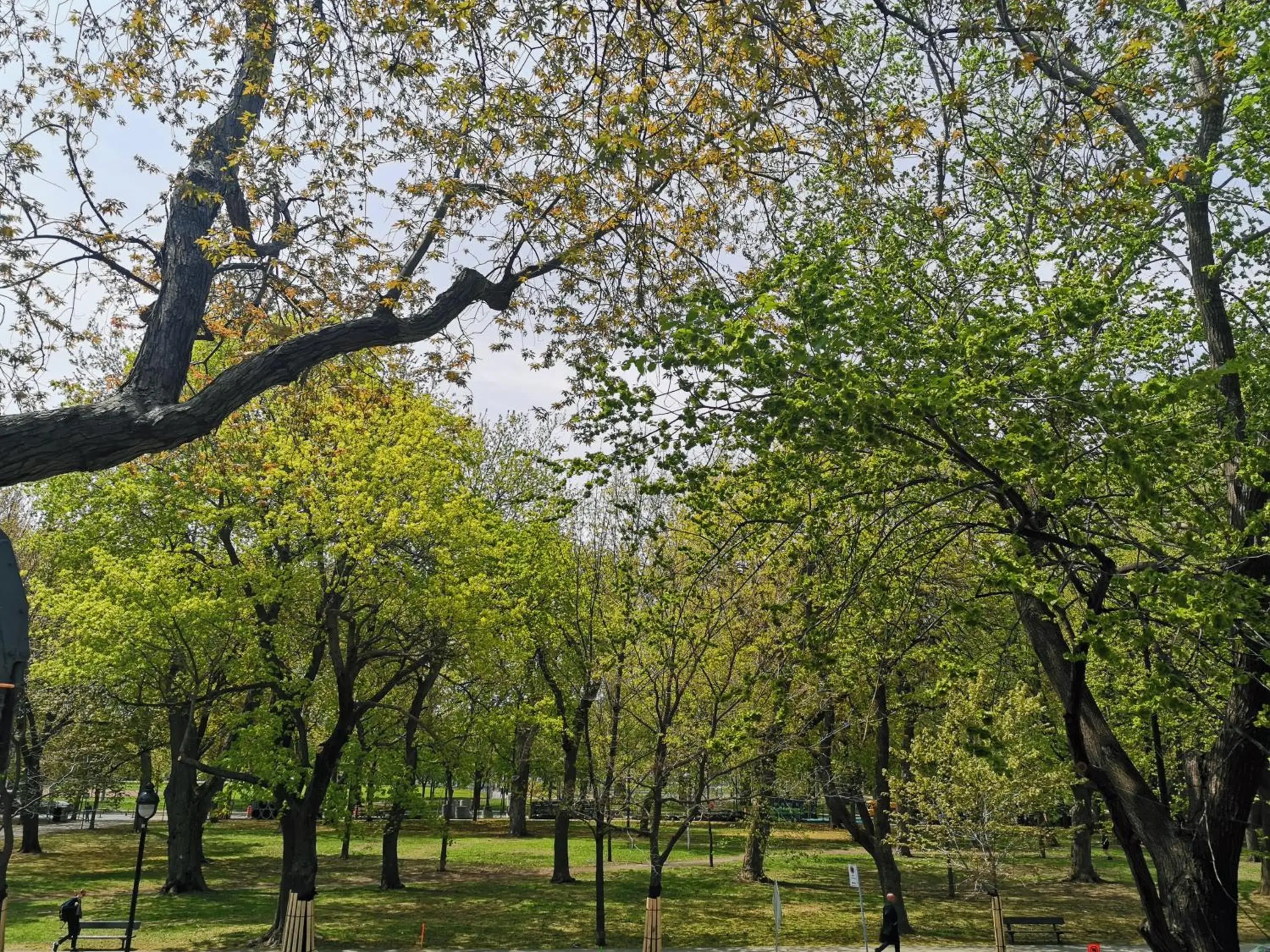 Garden view in Accueil Chez Francois Garden view in Accueil Chez Francois