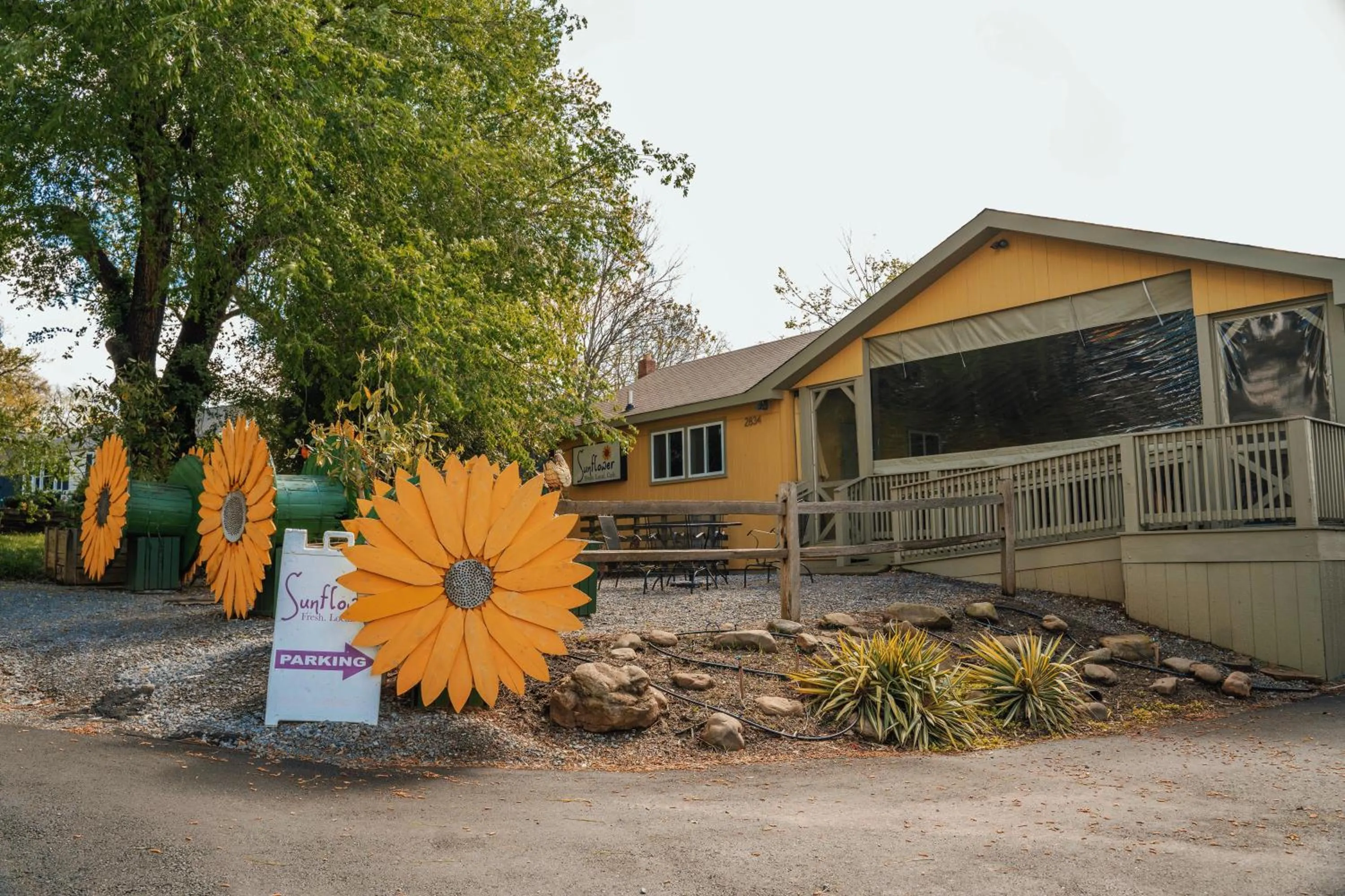 Neighbourhood in The Iris Motel