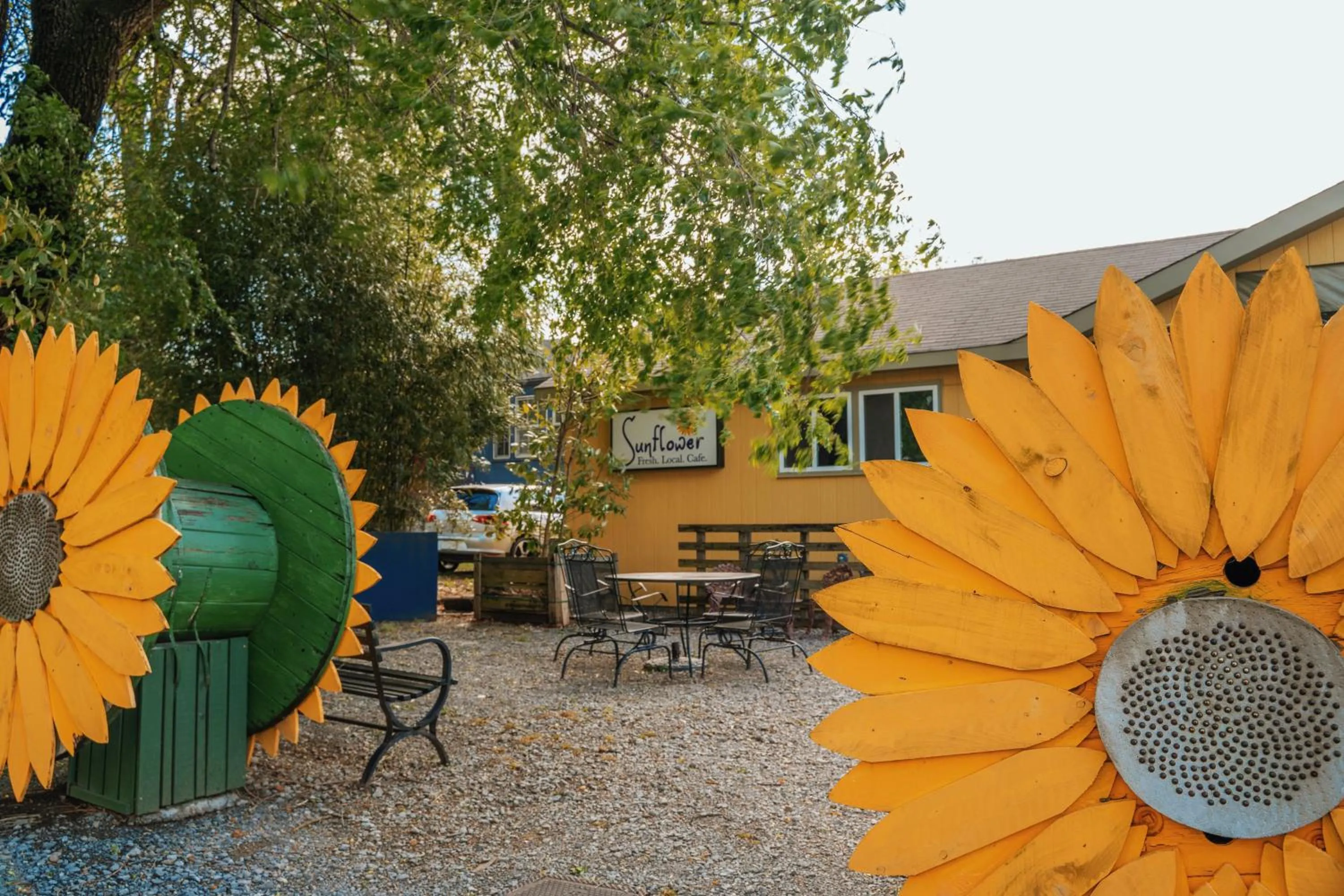 Neighbourhood in The Iris Motel