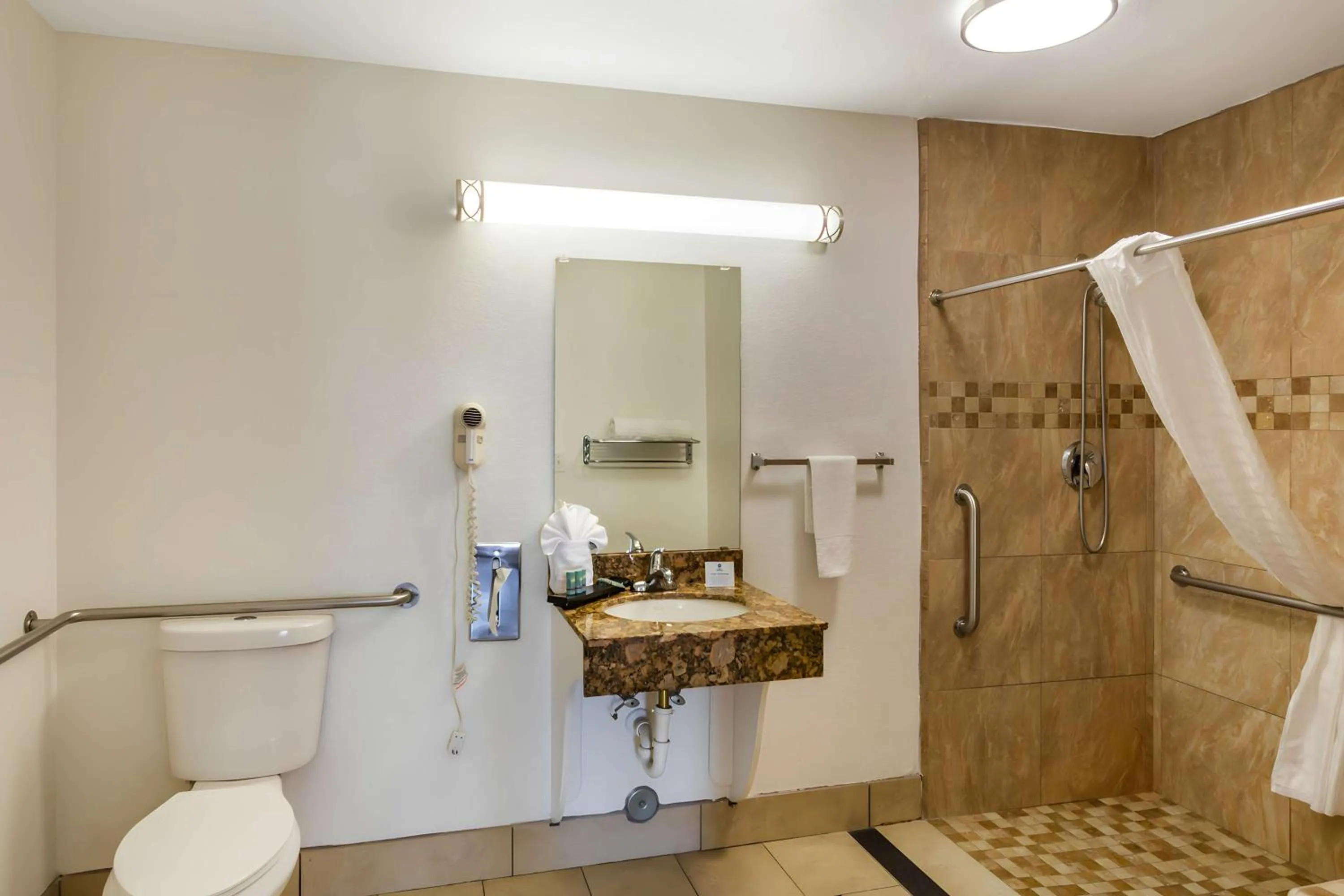 Bathroom in Best Western Heritage Inn