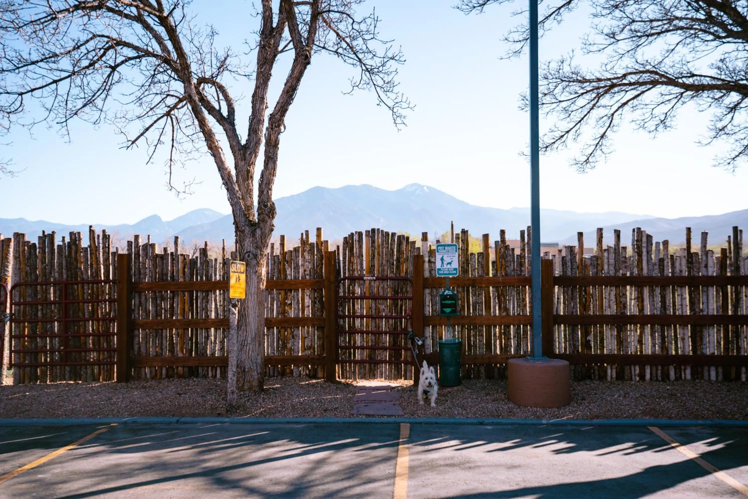 Pets in Taos Valley Lodge