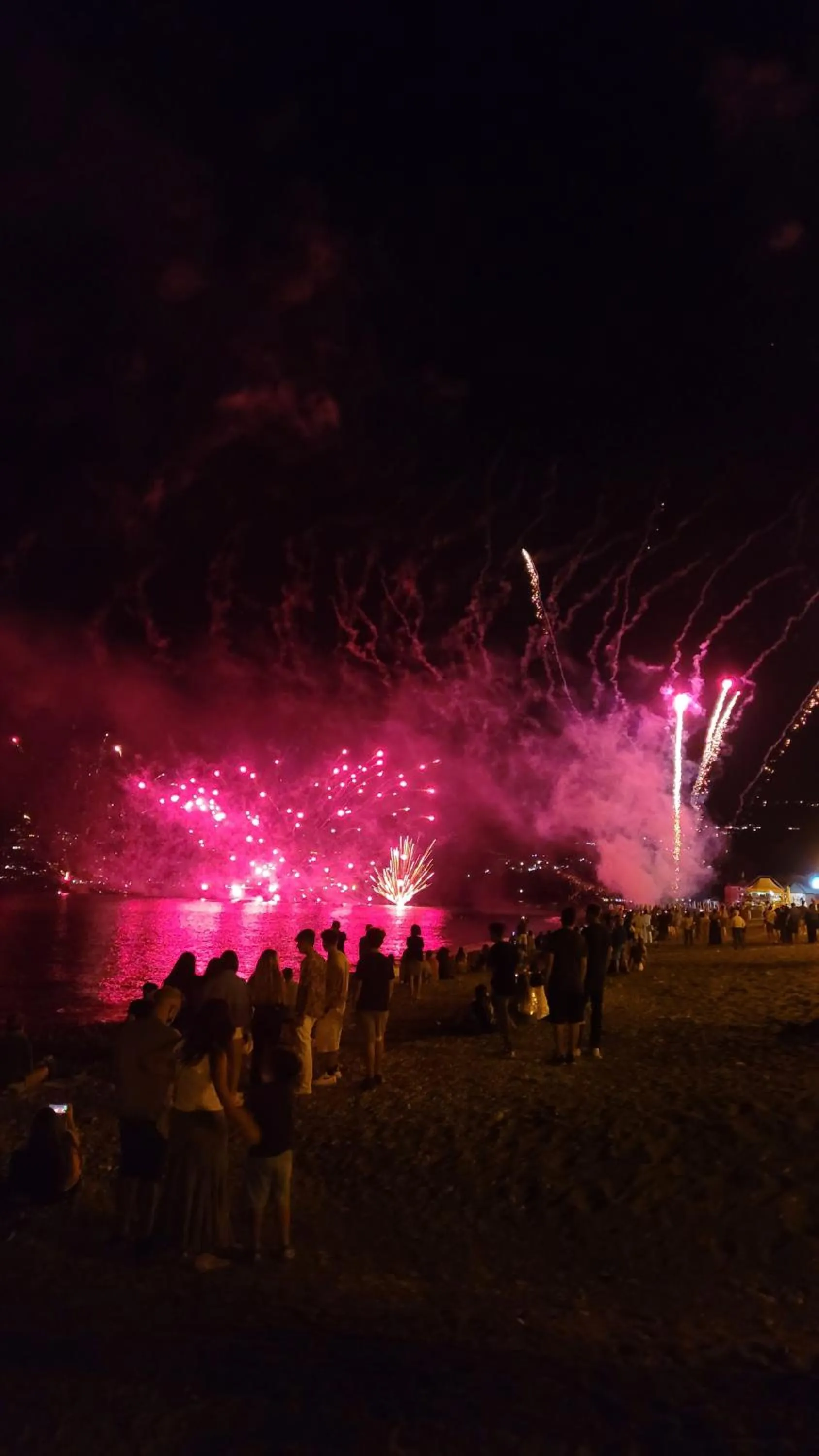 Summer in Domus Olea