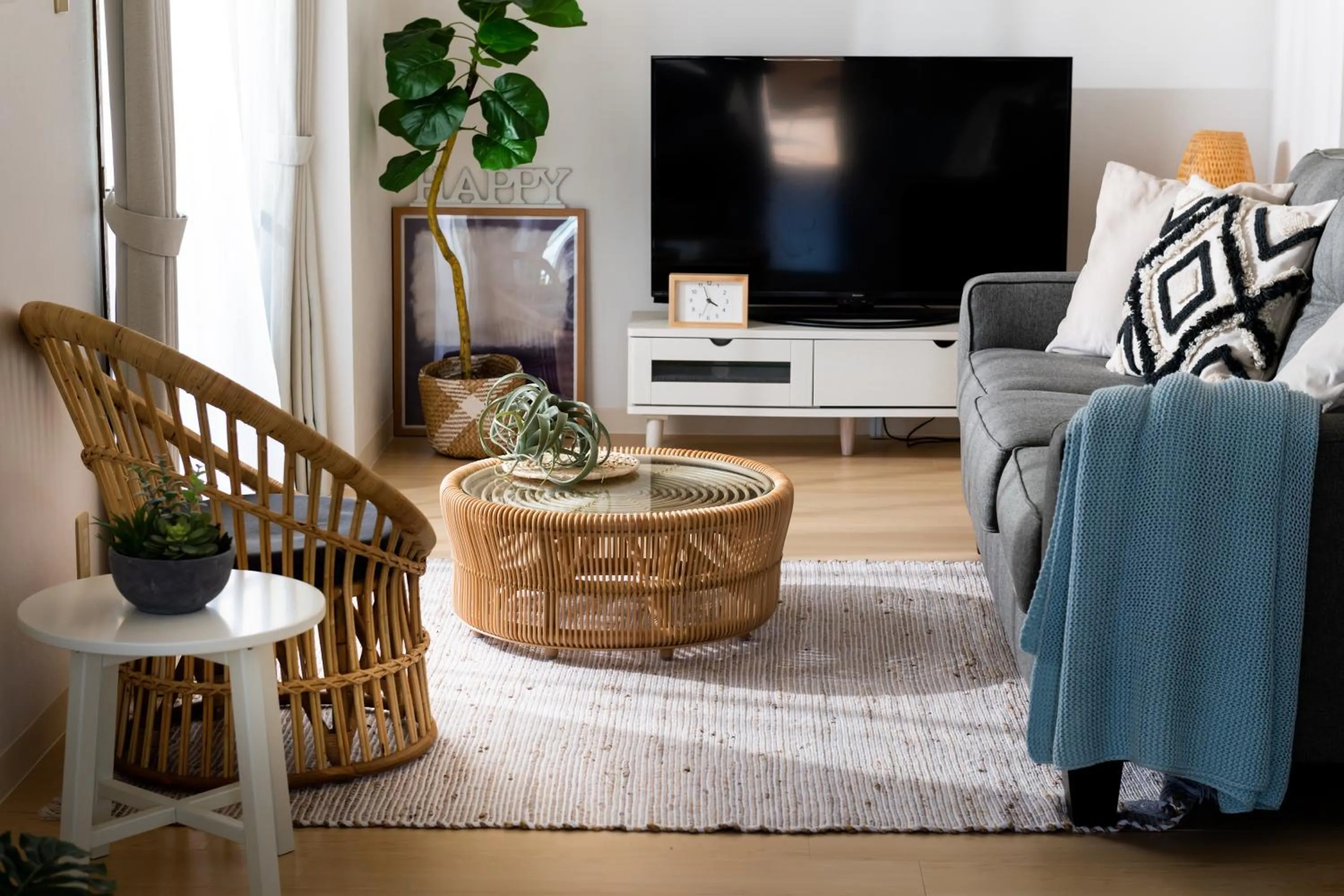 TV and multimedia in Little Santa