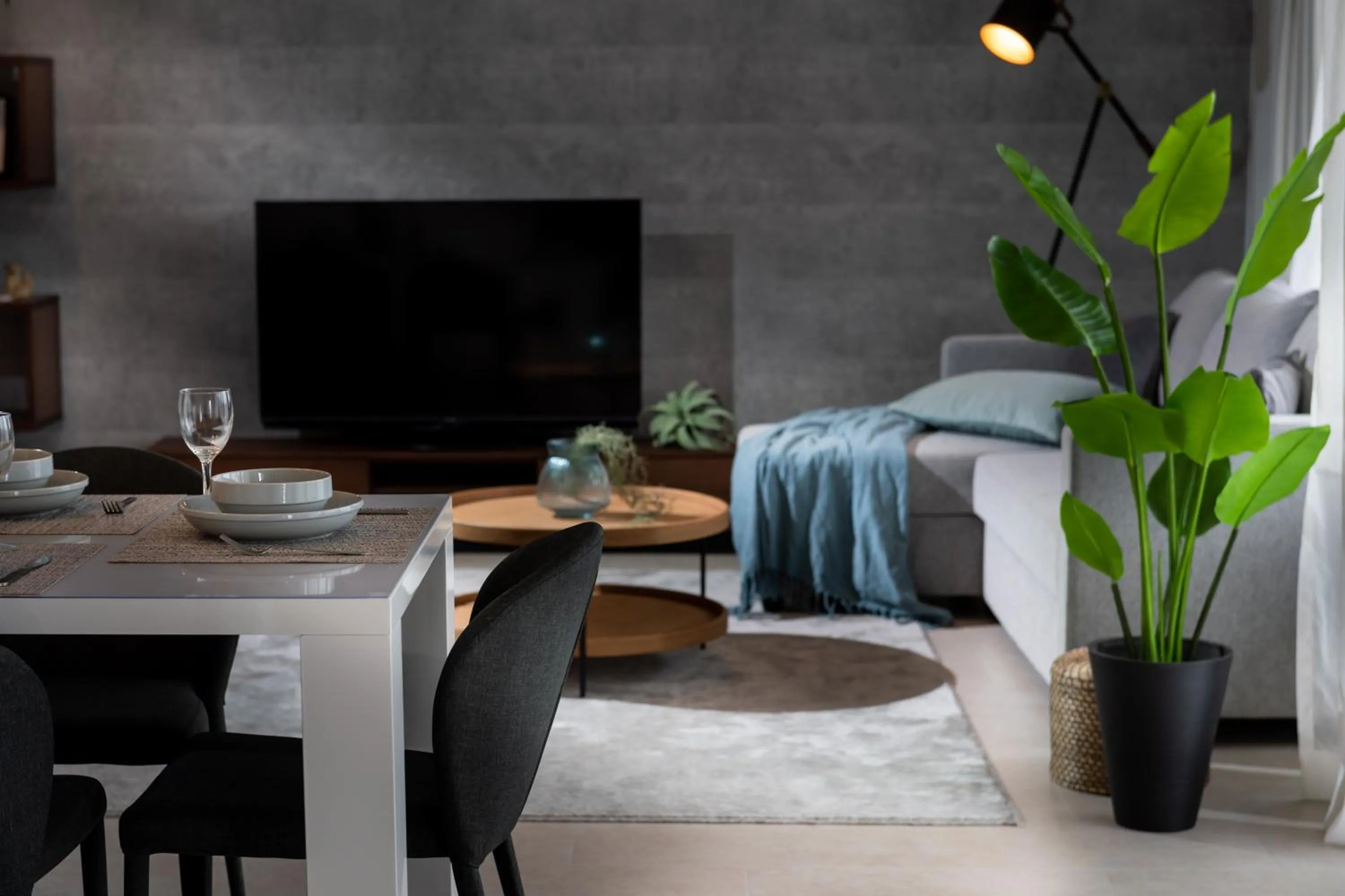 TV and multimedia in Little Santa