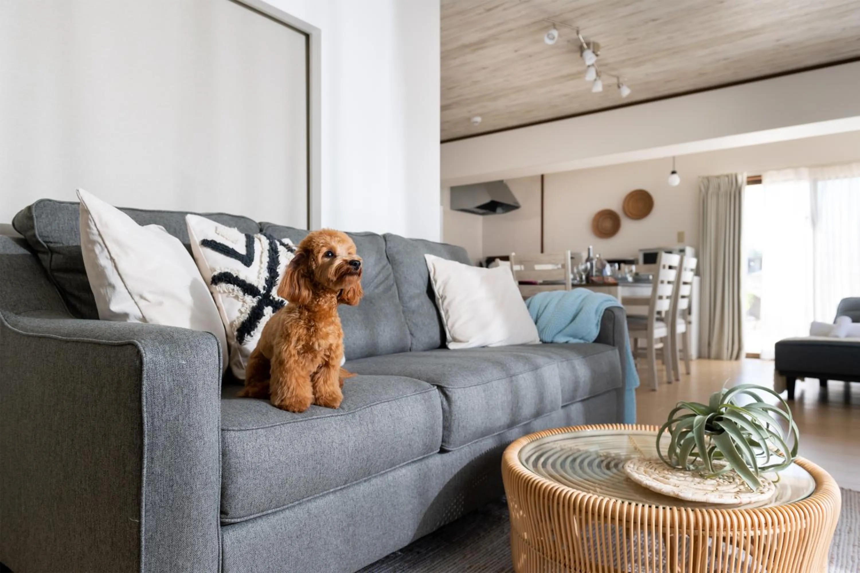 Living room in Little Santa