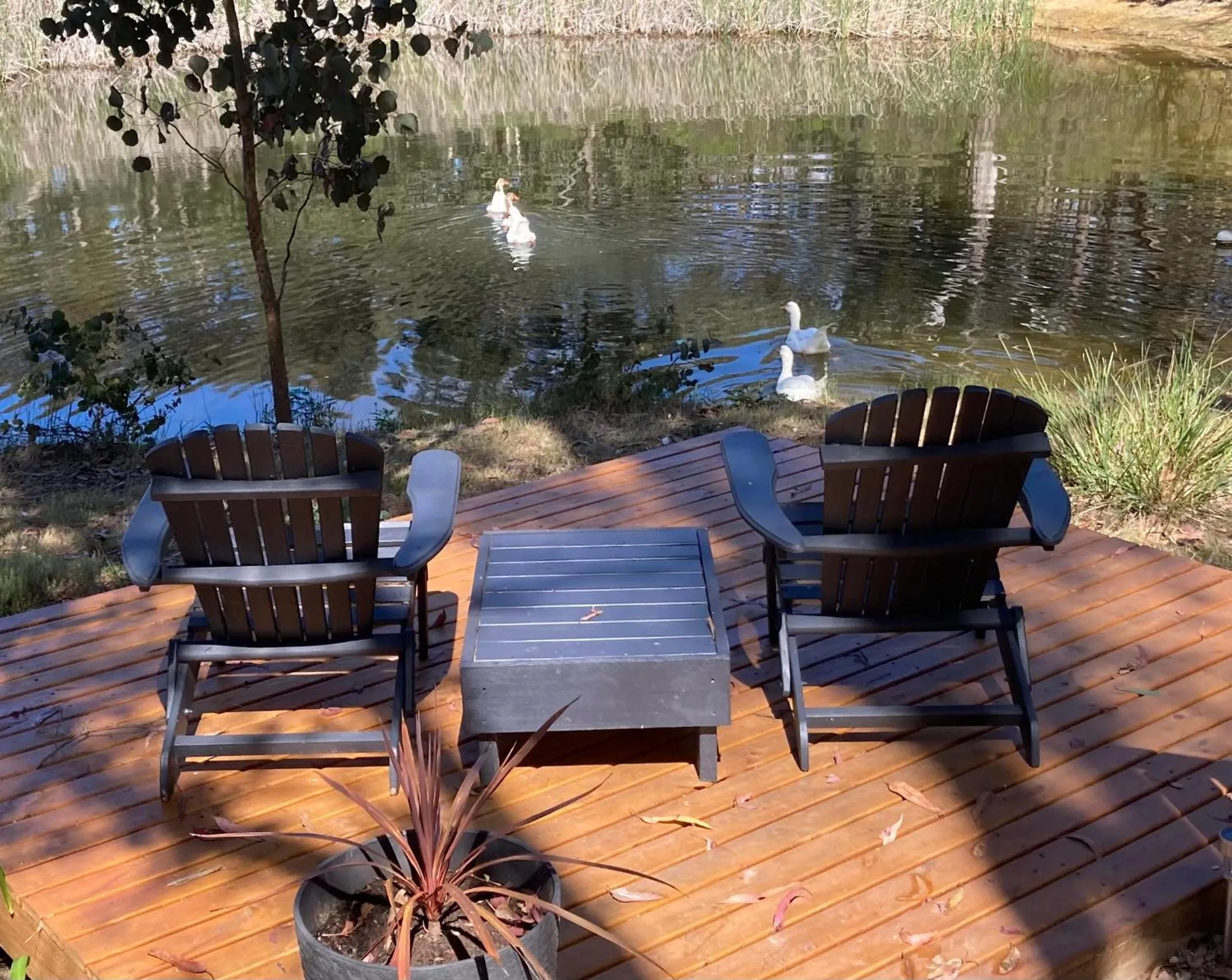 Stephanie’s Country Cottages