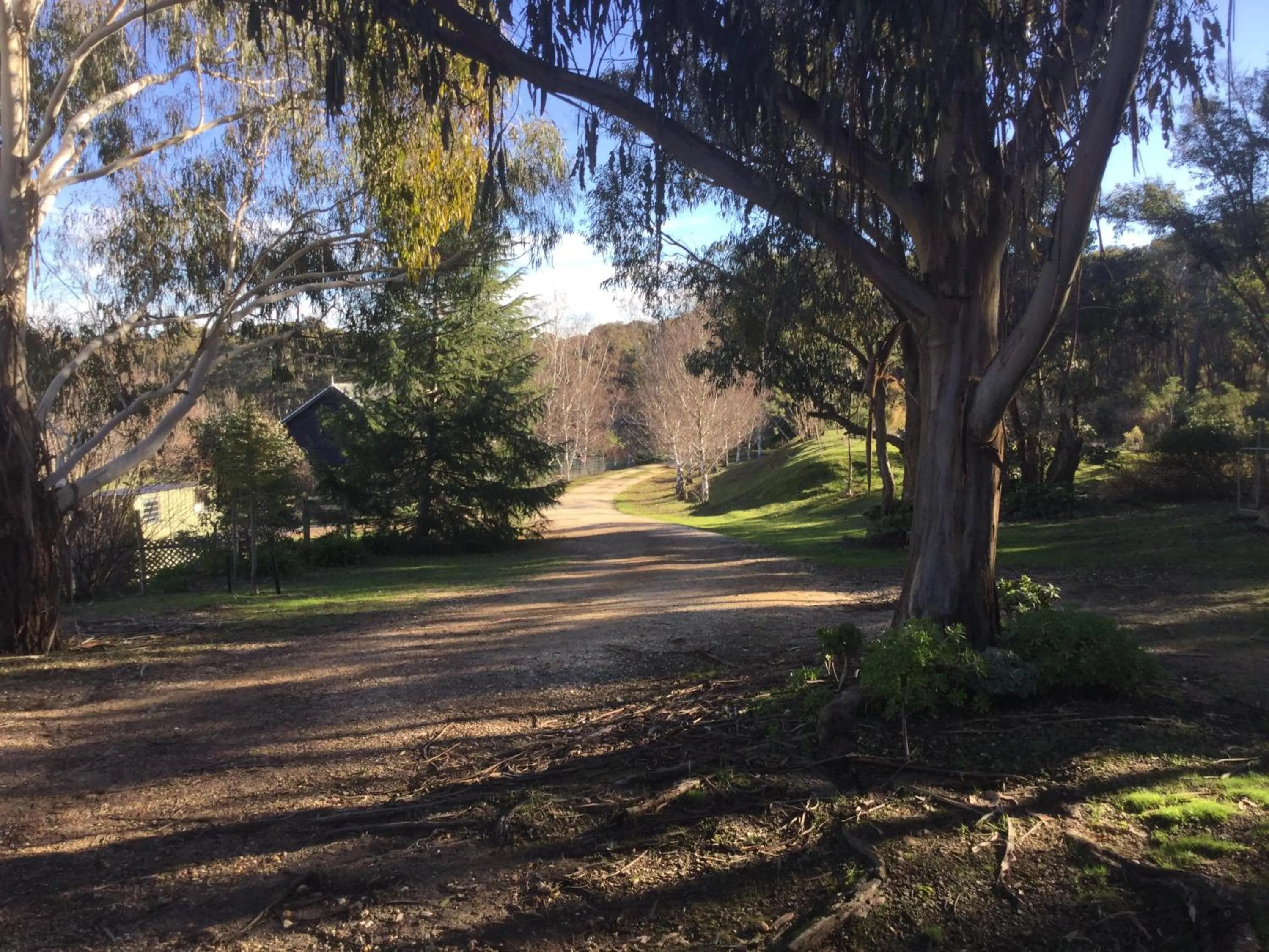 Natural landscape in Stephanie’s Country Cottages