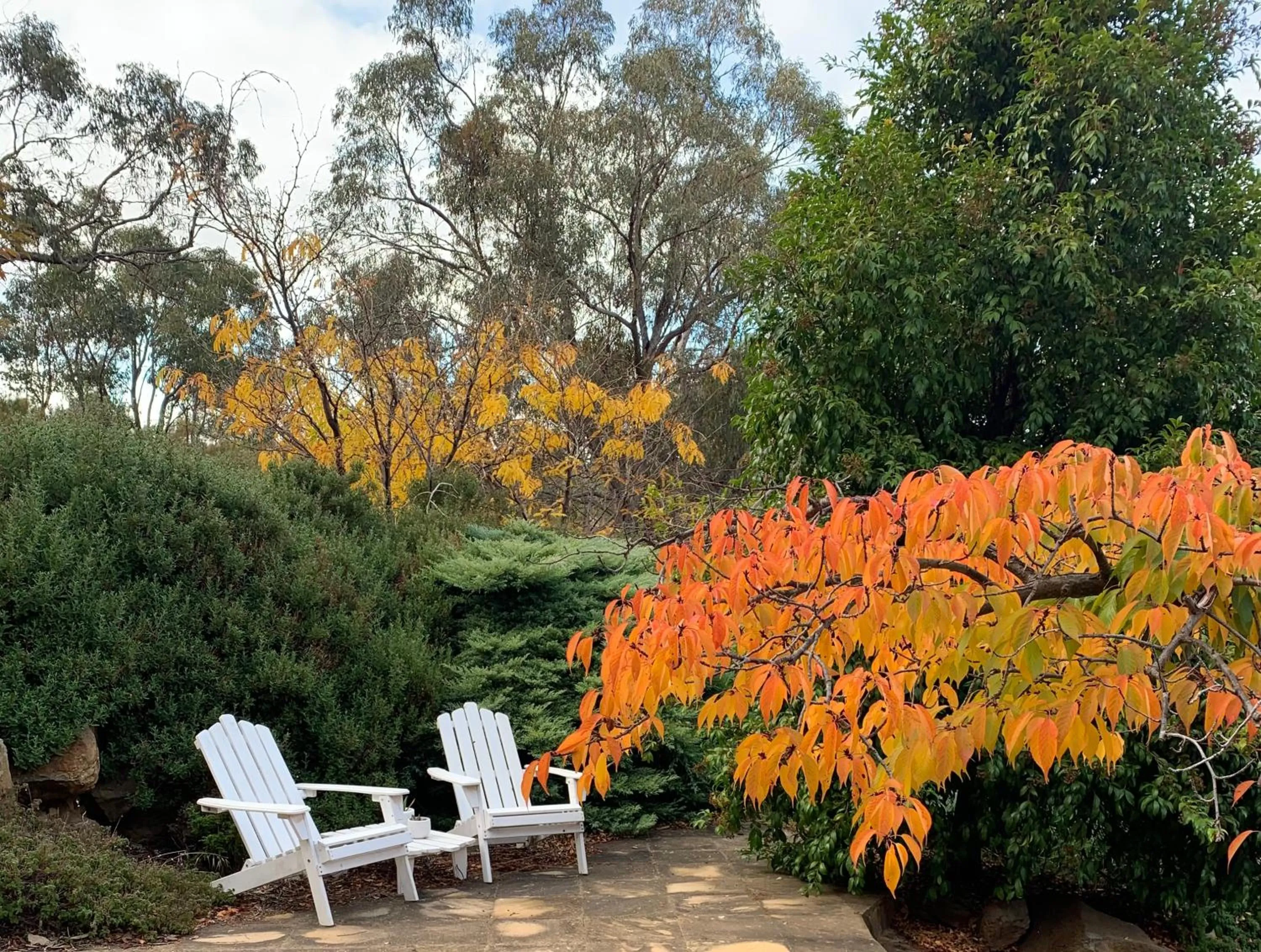 Stephanie’s Country Cottages