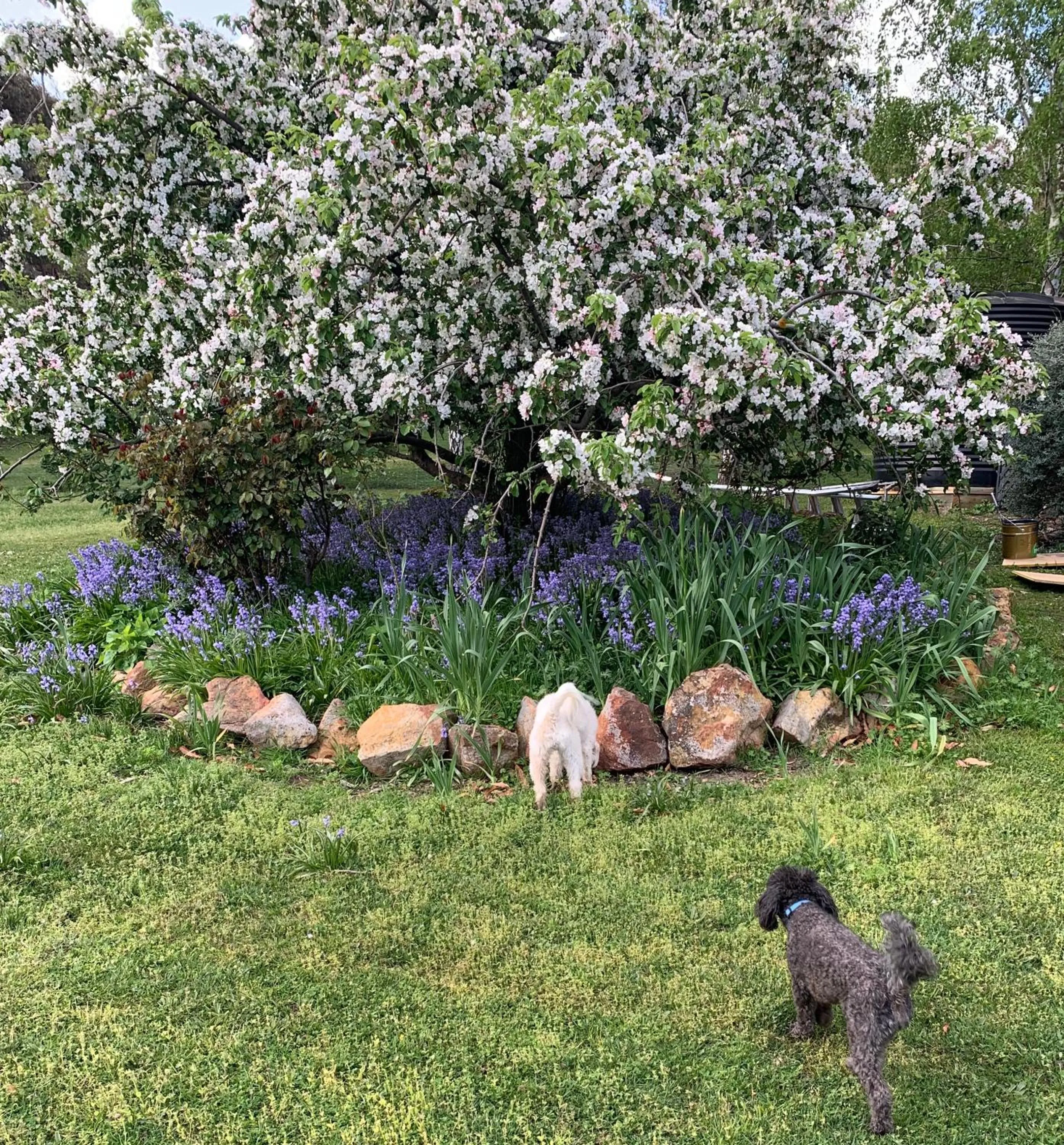 Stephanie’s Country Cottages