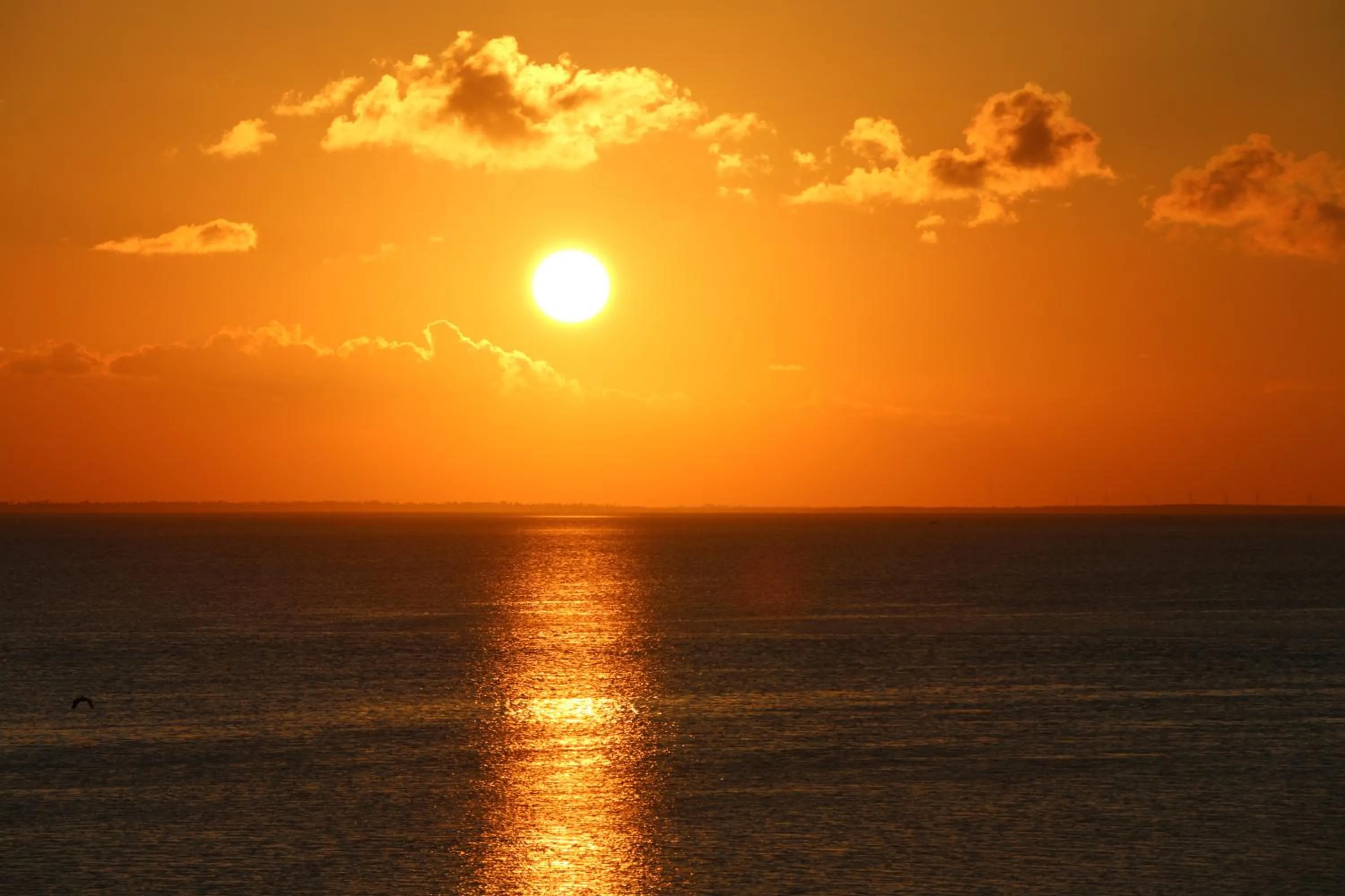 Sea view in Blue Bay Inn and Suites