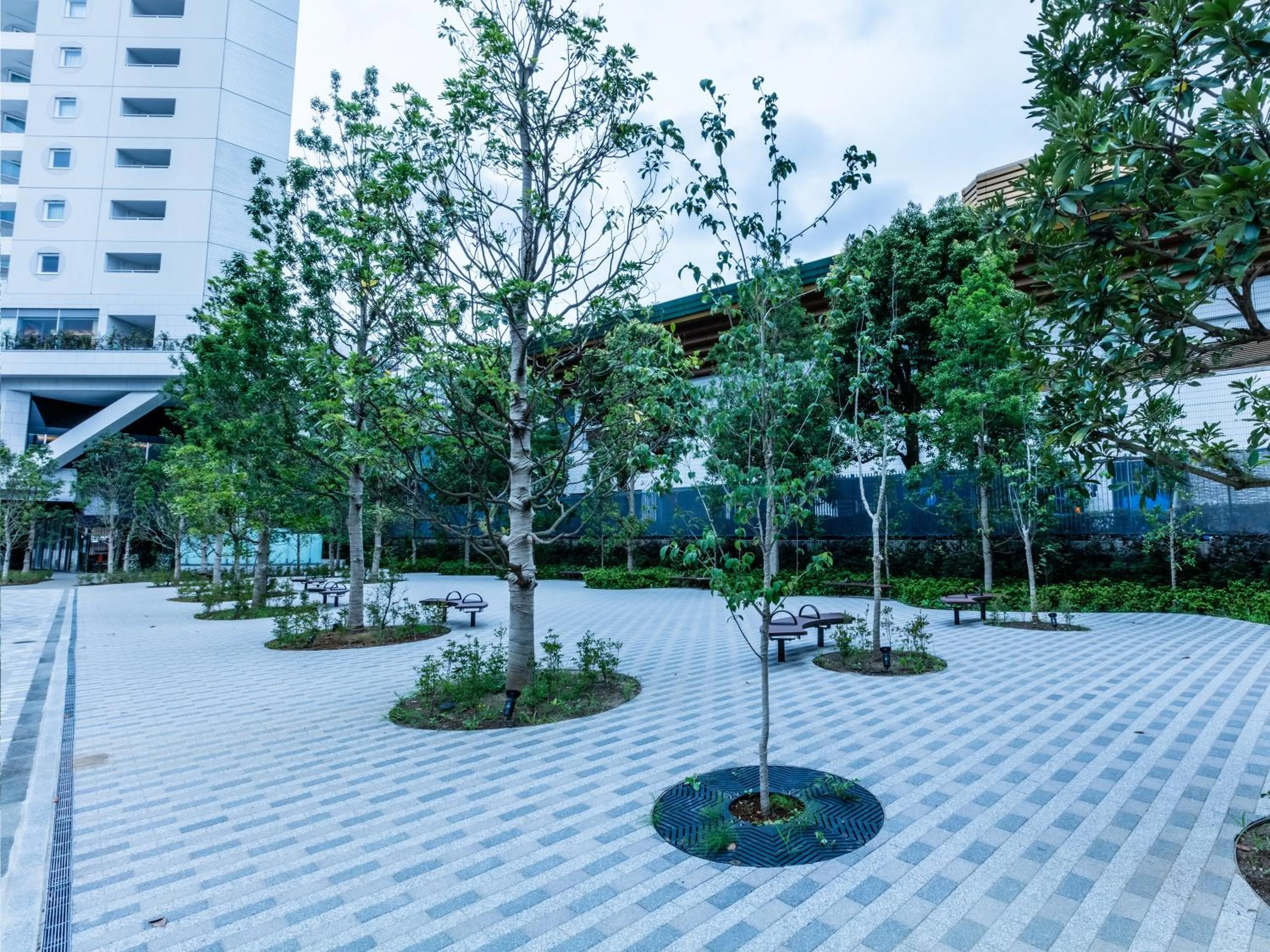Garden in APA Hotel & Resort Ryogoku Ekimae Tower