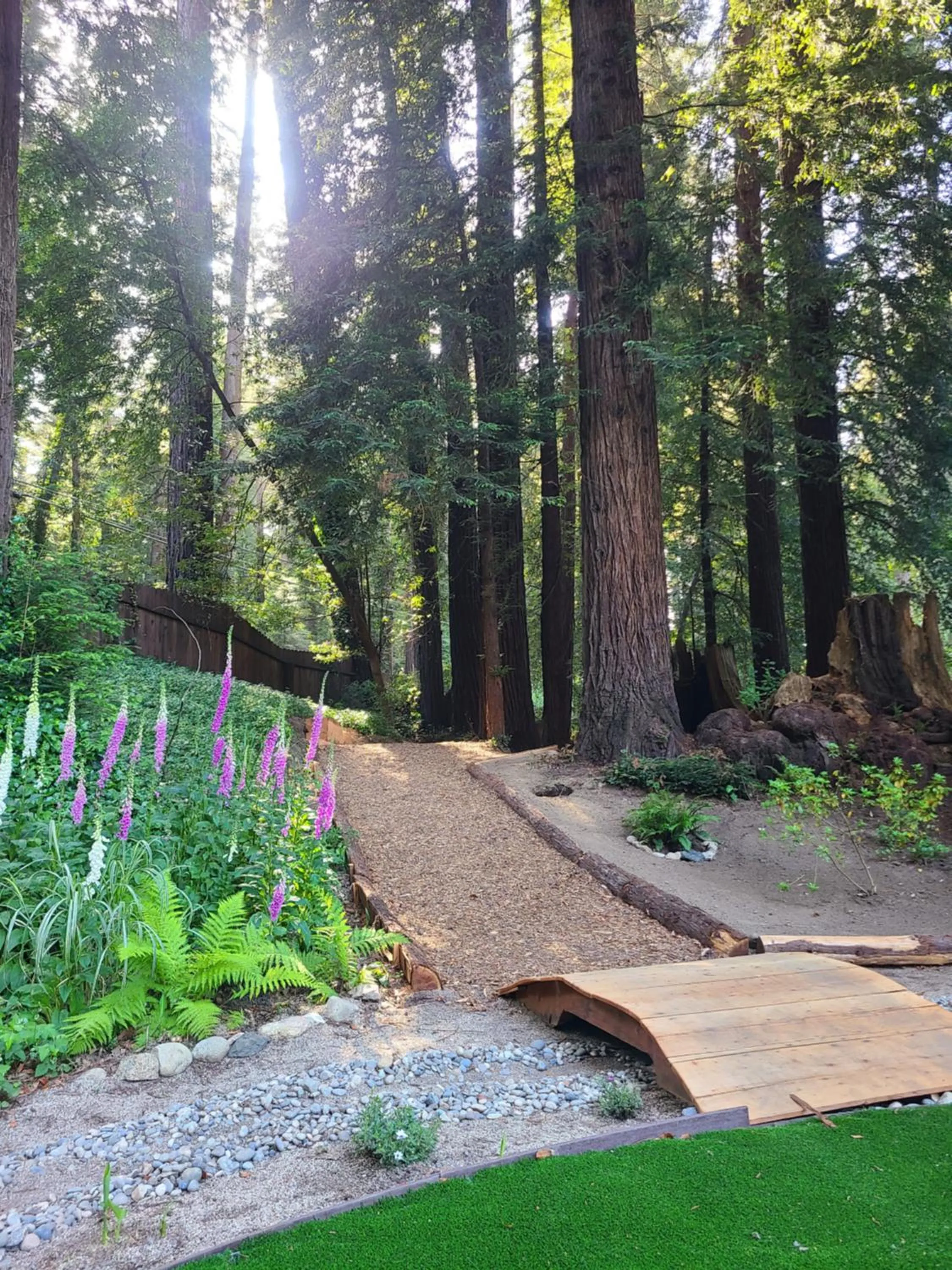 Garden in Fern River Resort