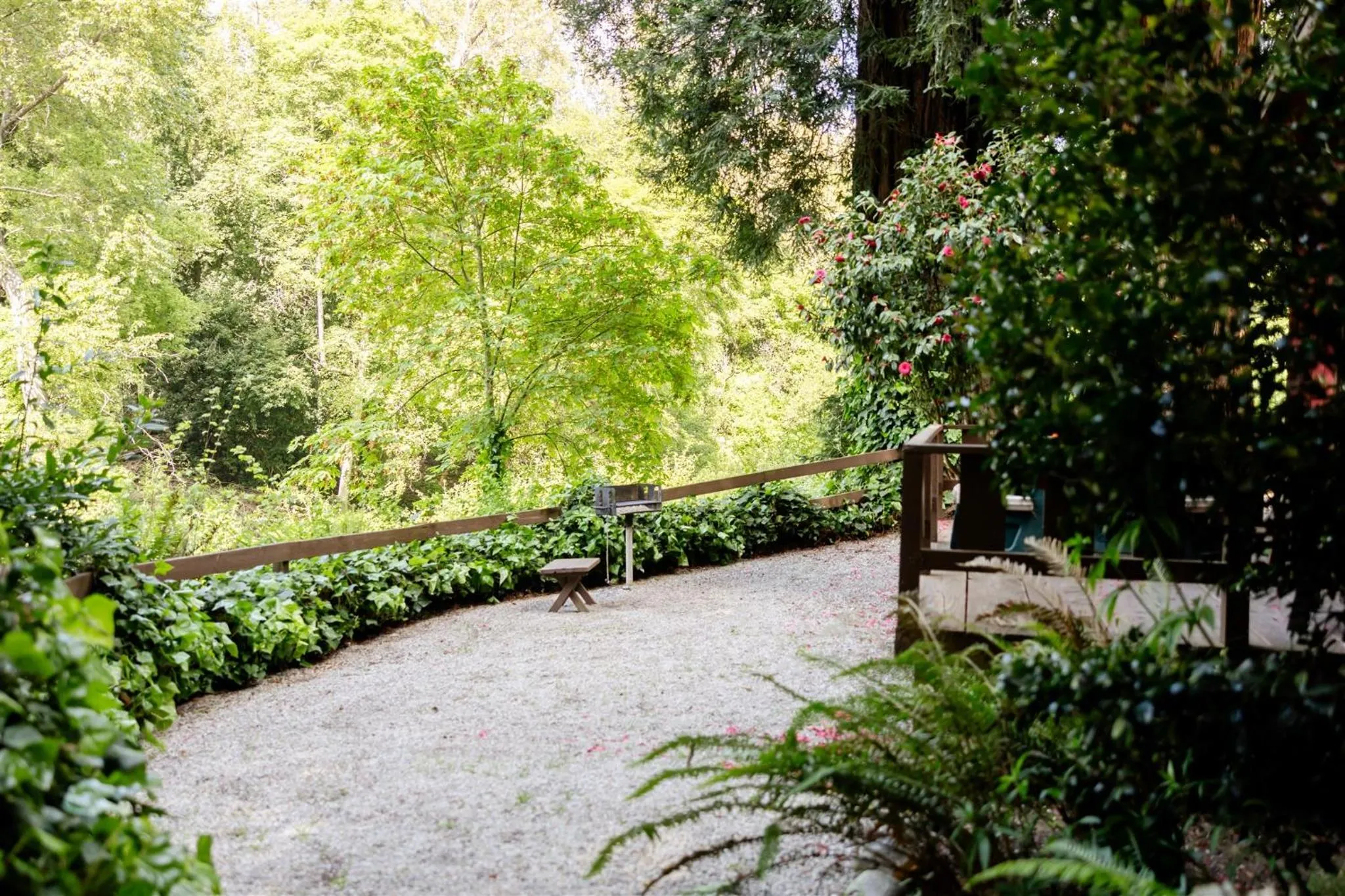 Natural landscape in Fern River Resort