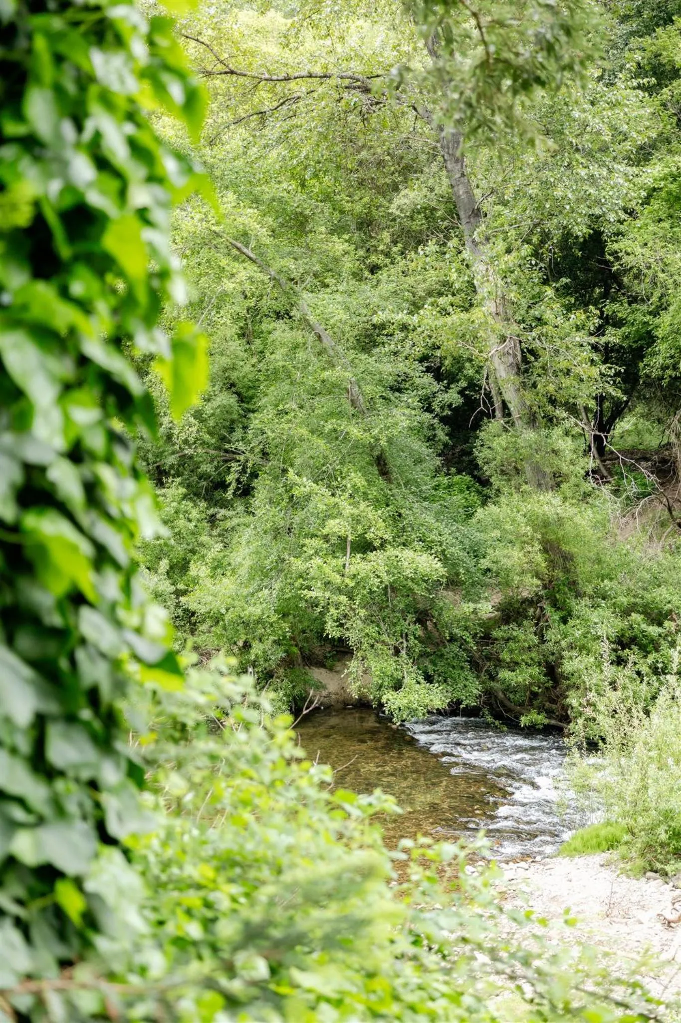 River view in Fern River Resort