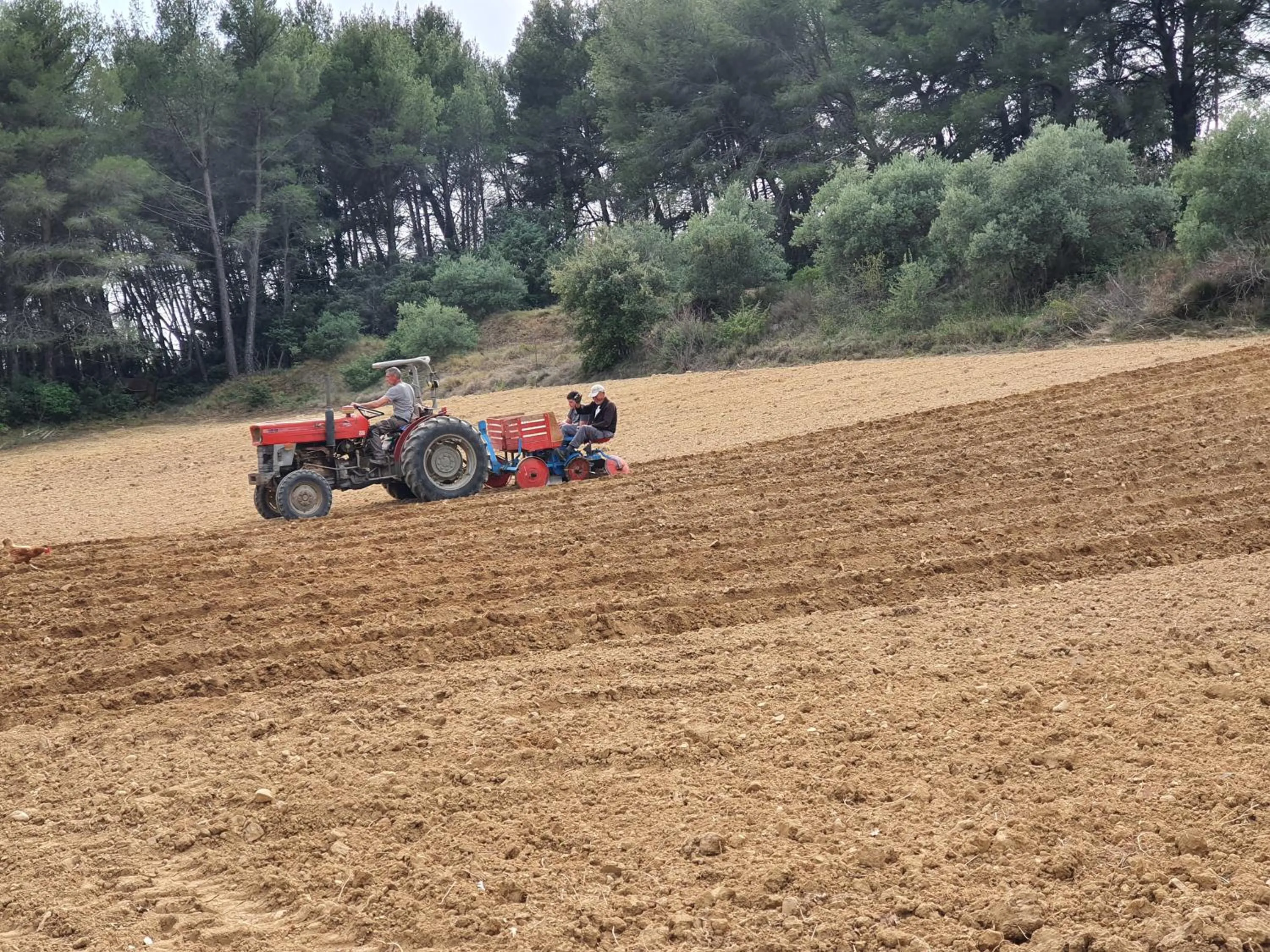 Locations insolites "vie en plein air" cabane et tipi Bastide Bellugue maison d'hôtes reseau Bienvenue à la ferme à 3 mn de lourmarin
