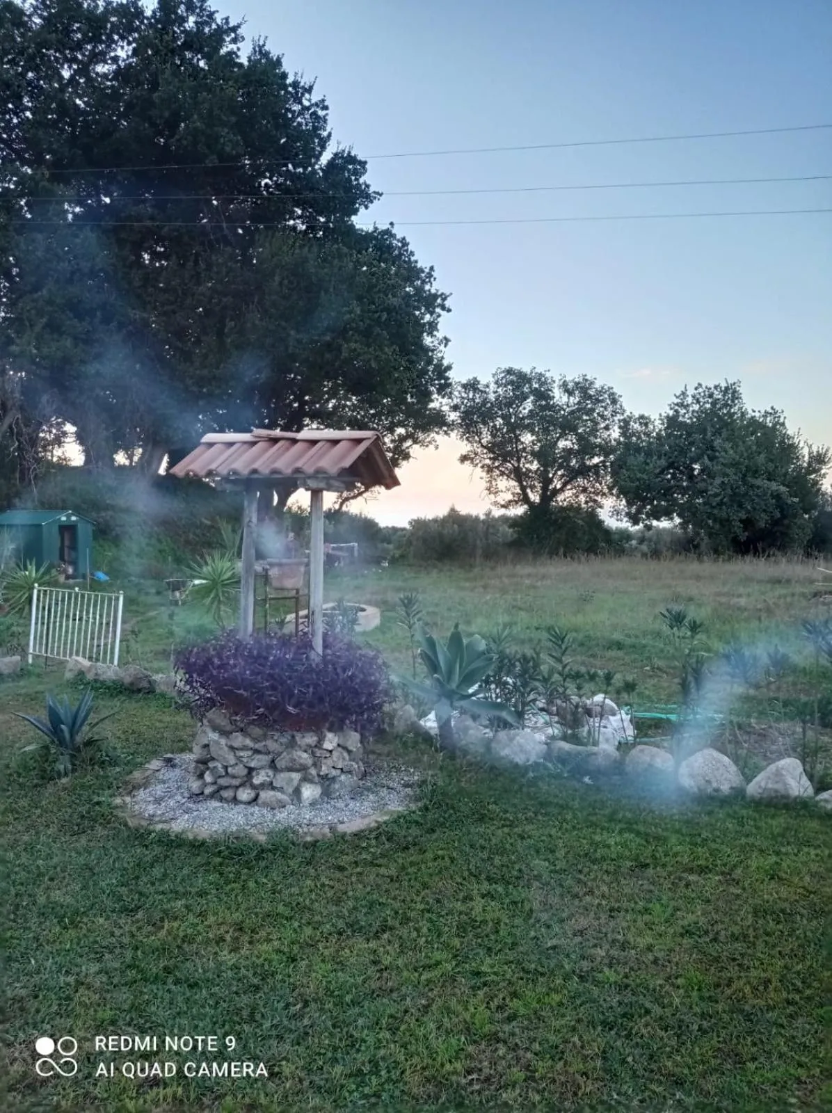 Garden in Al Passo di Thalia