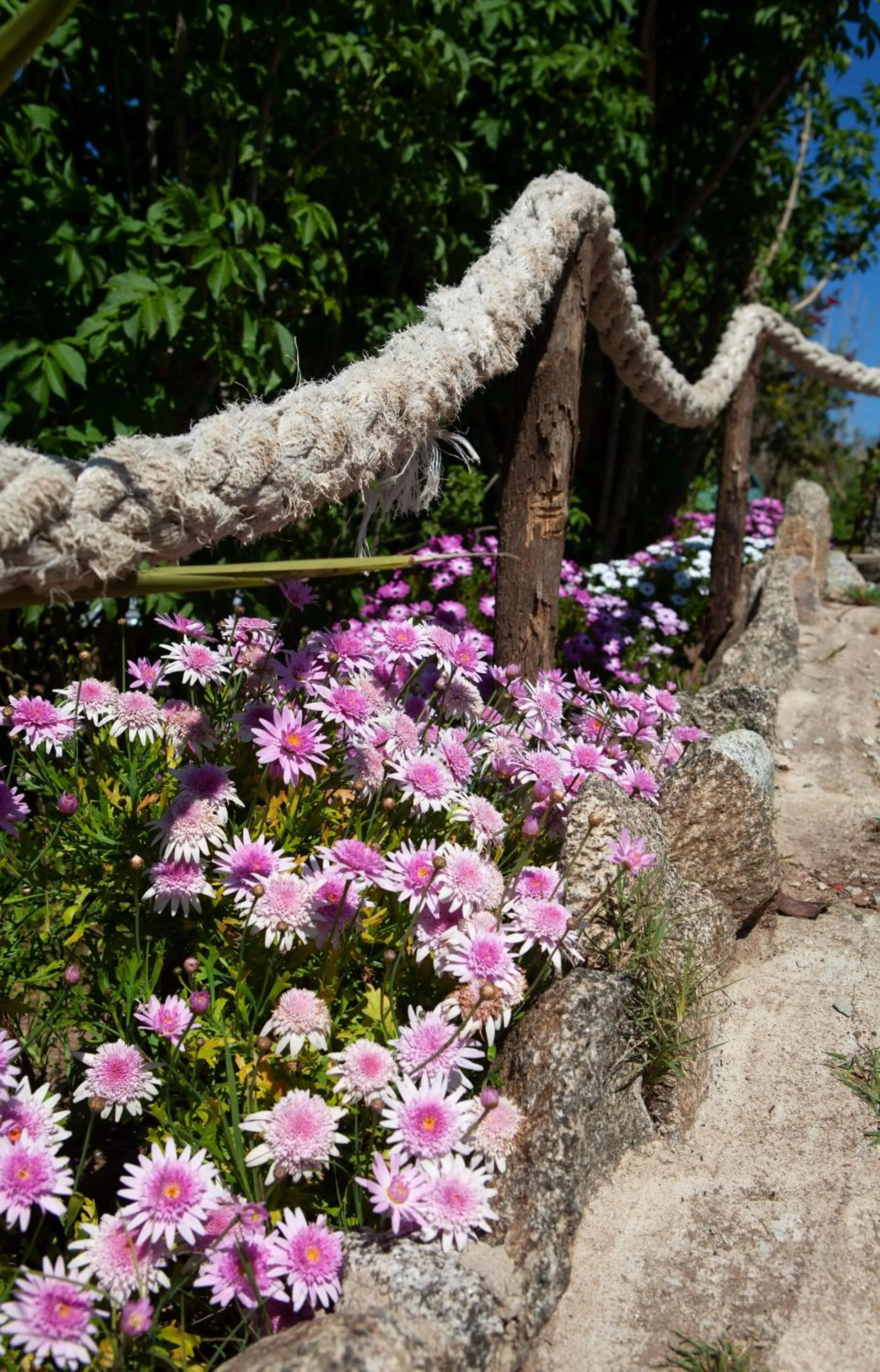Garden in Al Passo di Thalia