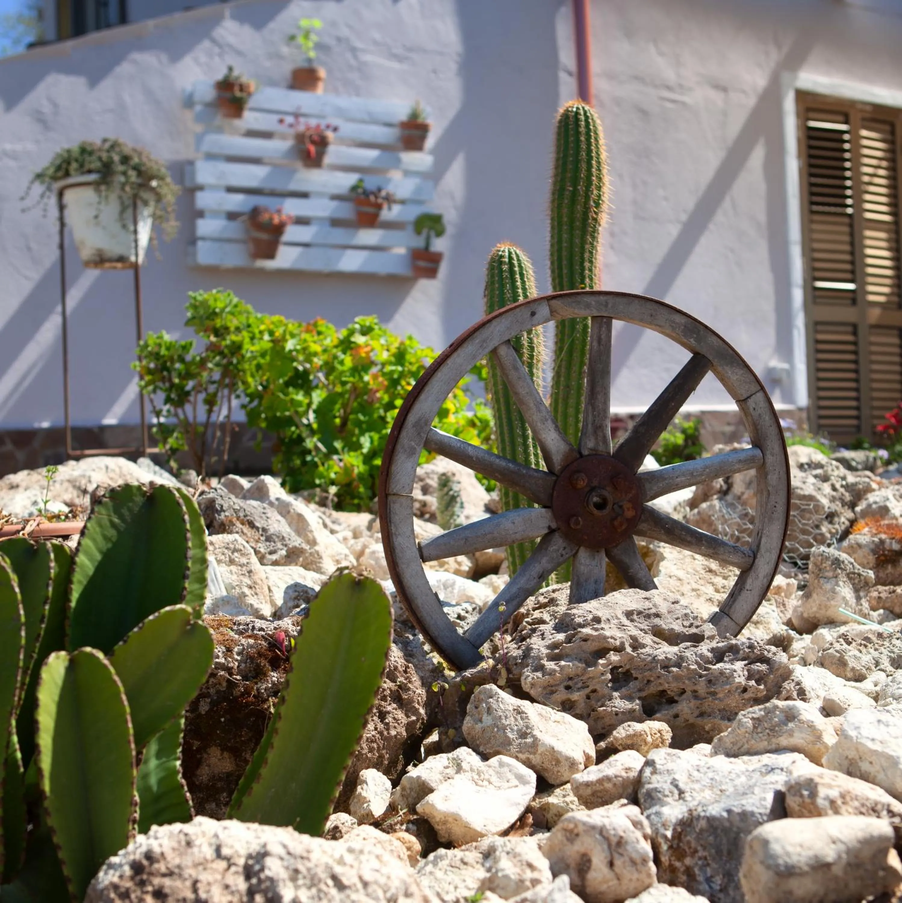 Garden in Al Passo di Thalia