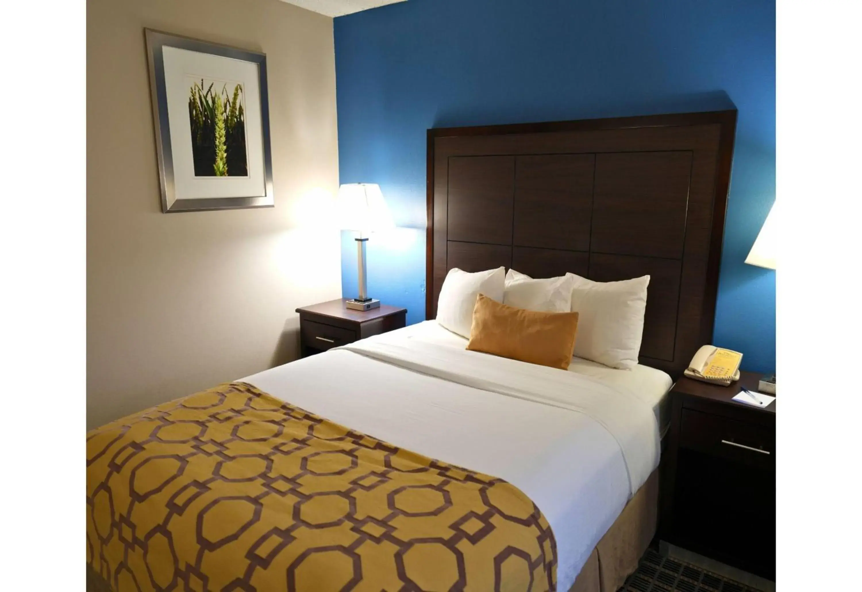 Photo of the whole room, Bed in Baymont by Wyndham Marshalltown Photo of the whole room, Bed in Baymont by Wyndham Marshalltown