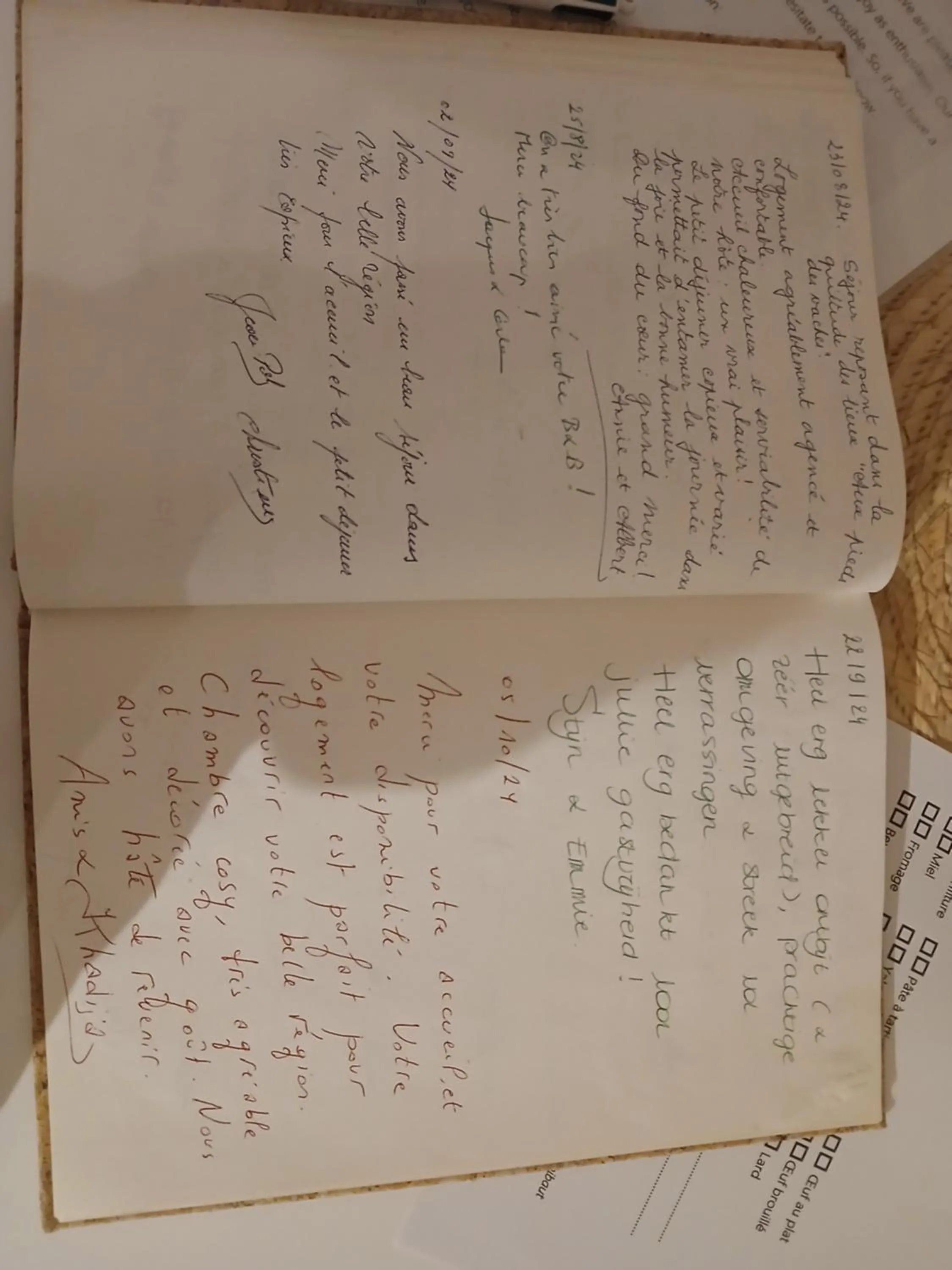 Aux pieds des vaches