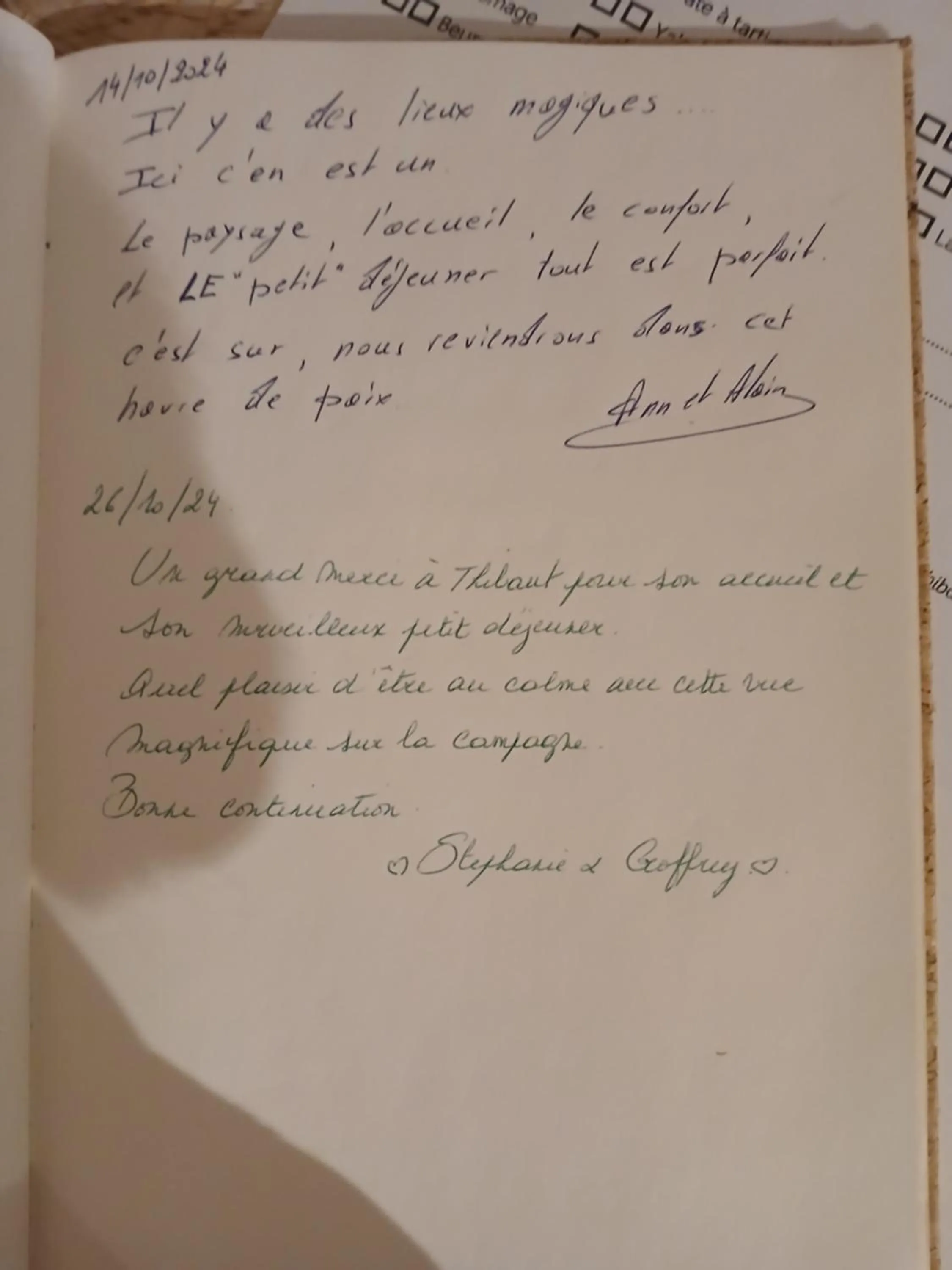 Aux pieds des vaches