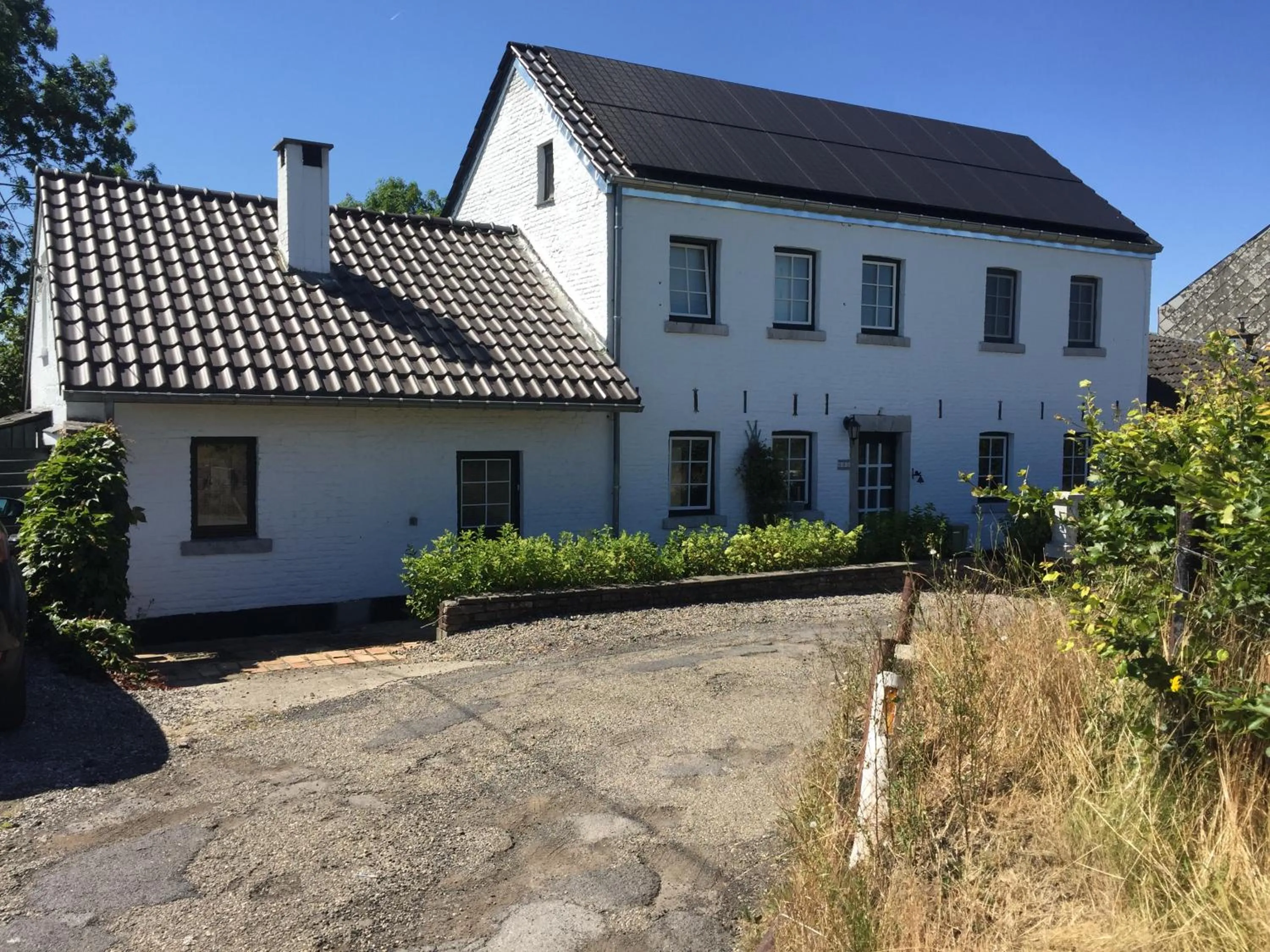 Aux pieds des vaches