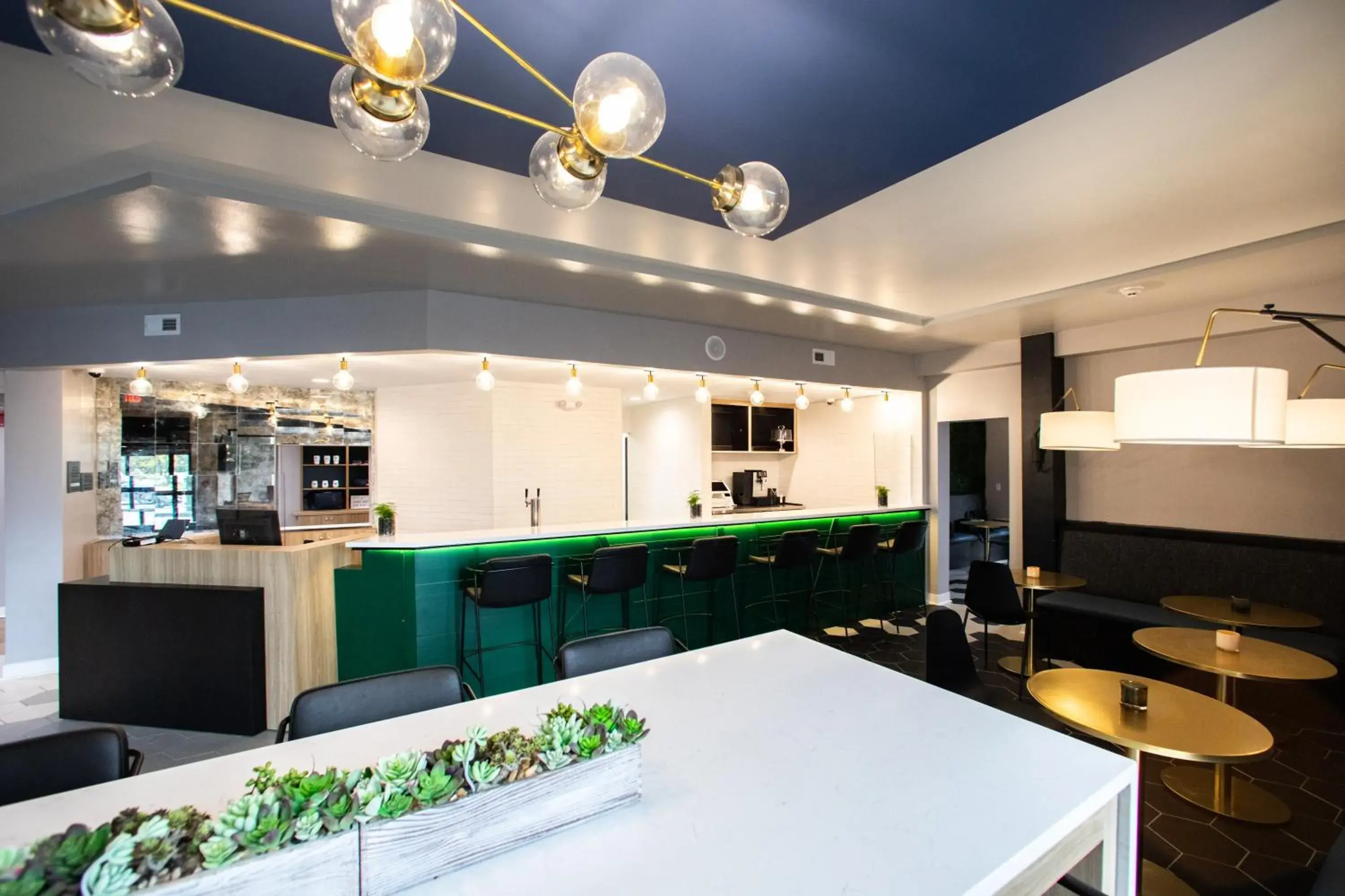 Lounge or bar in Hotel Denim Lounge or bar in Hotel Denim