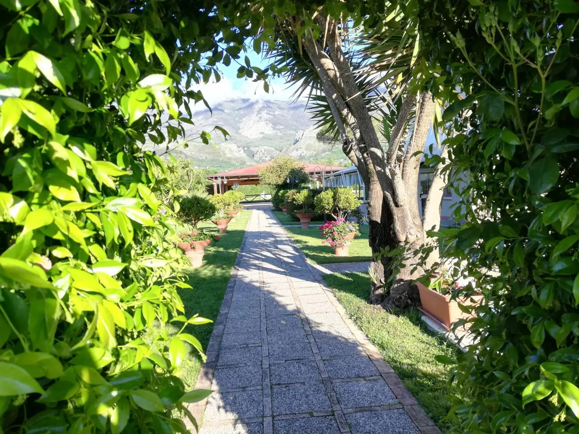 Saturnia Garden Saturnia Garden
