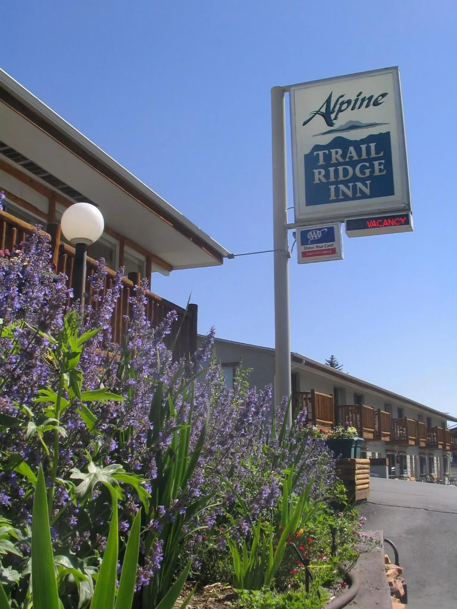 Facade/entrance in Alpine Trail Ridge Inn Facade/entrance in Alpine Trail Ridge Inn