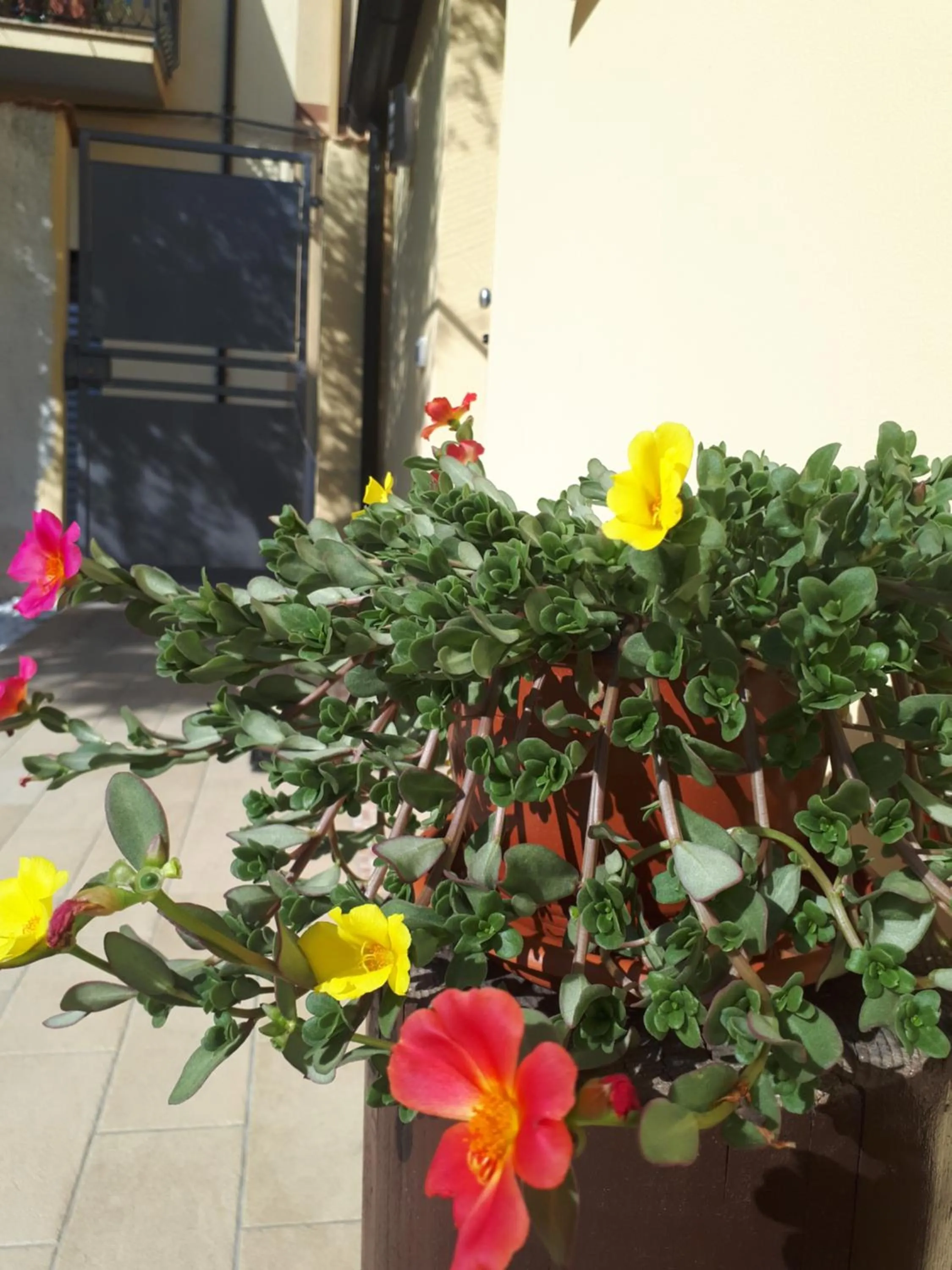 Property building in Al Chiaro di Luna