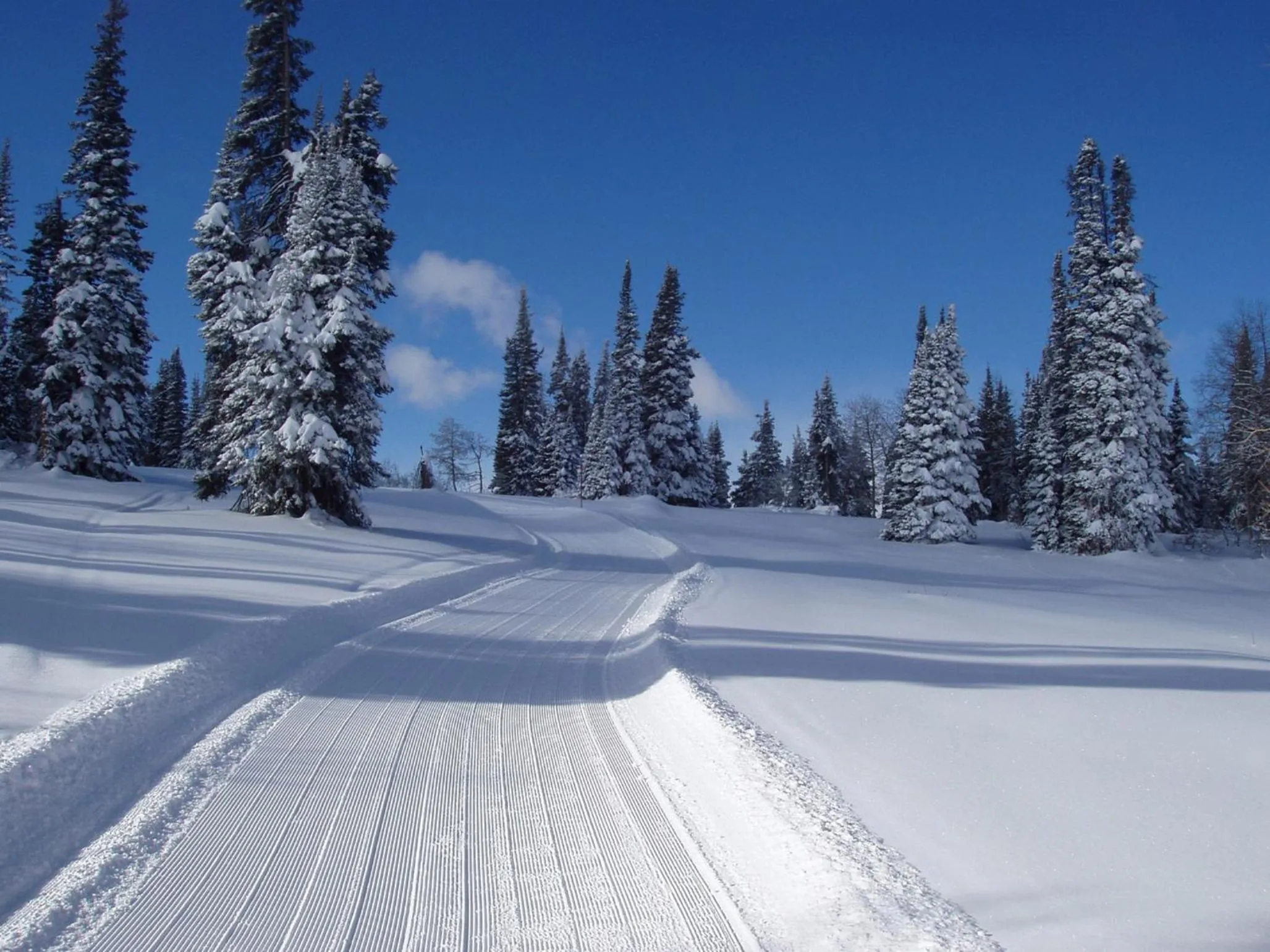 Area and facilities in Daniels Summit Lodge
