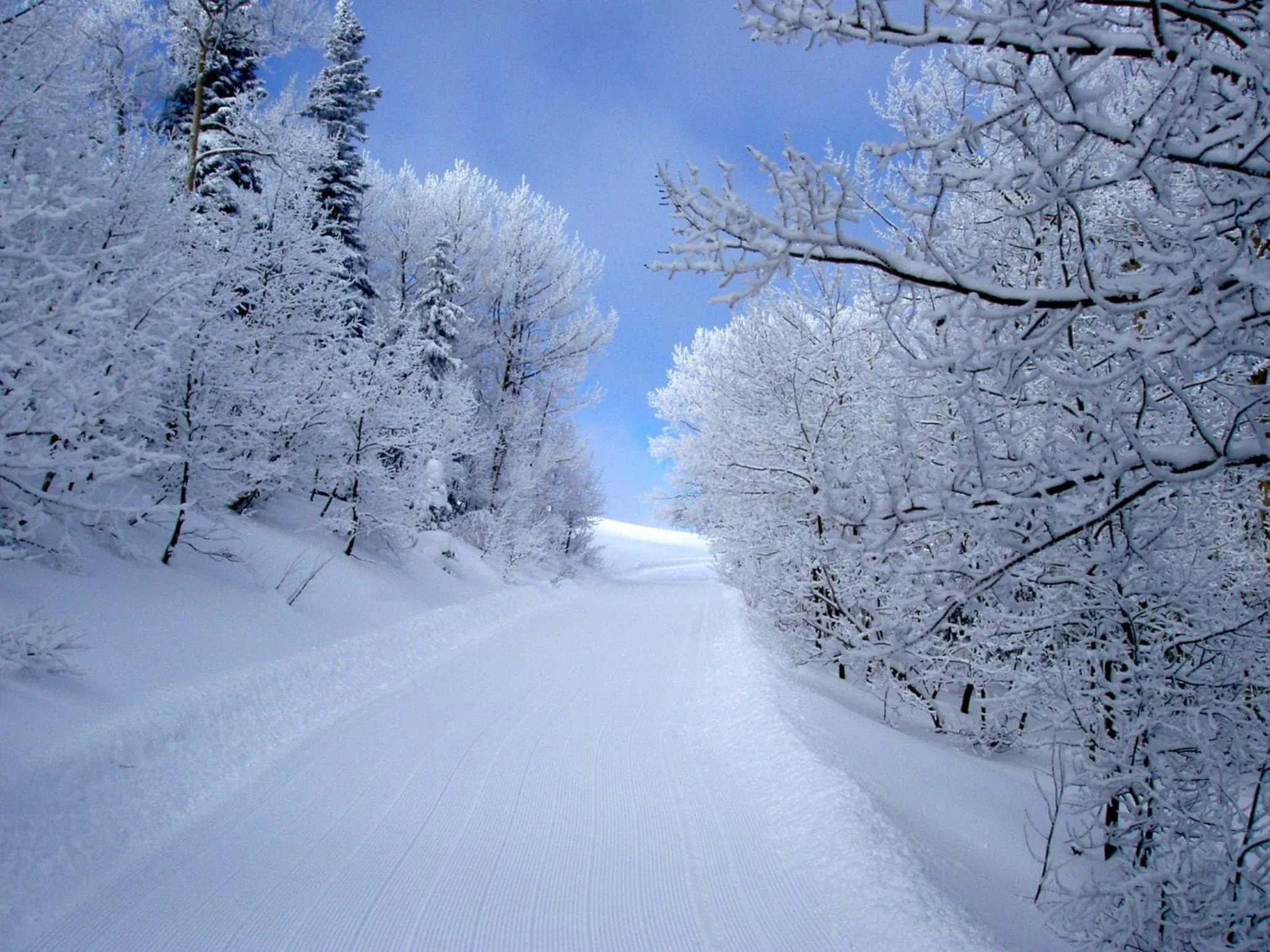 Area and facilities in Daniels Summit Lodge