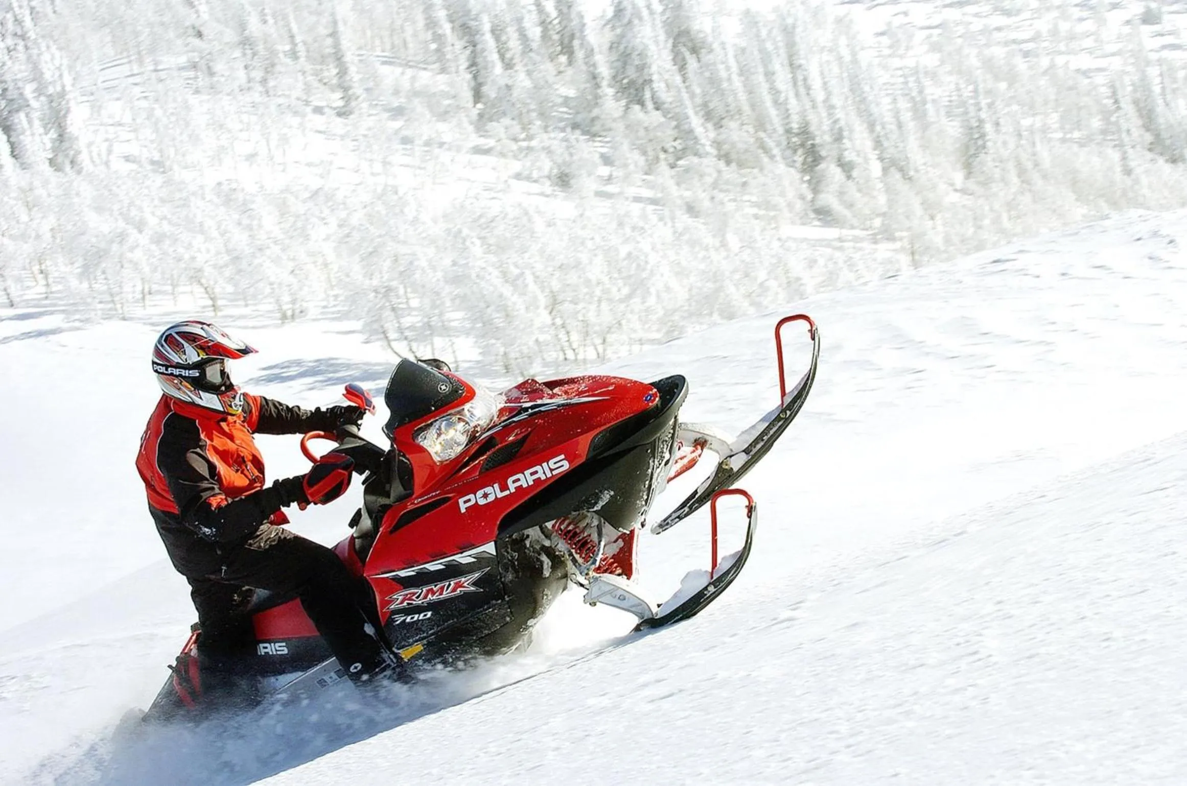 Area and facilities in Daniels Summit Lodge