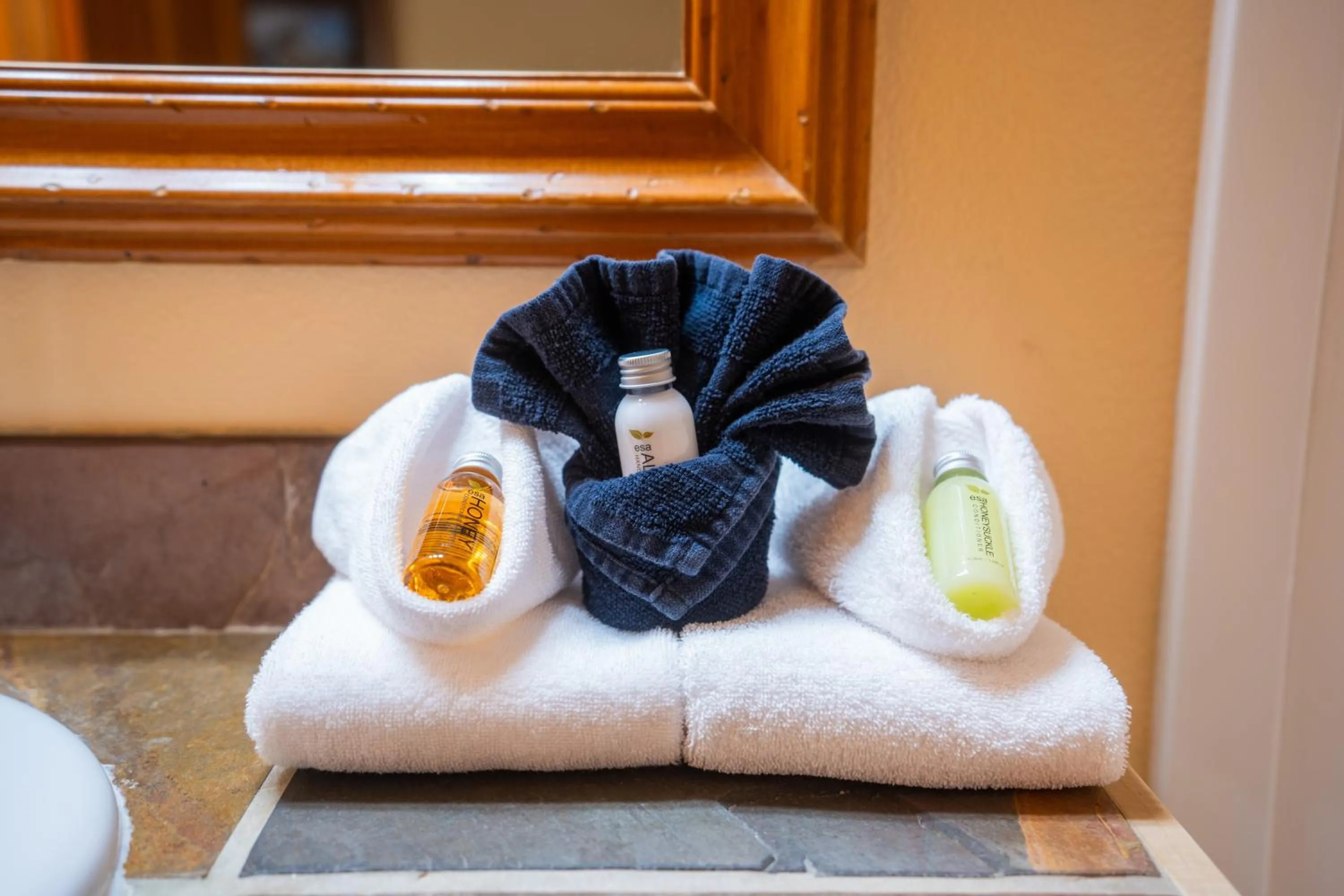 Bathroom in Daniels Summit Lodge