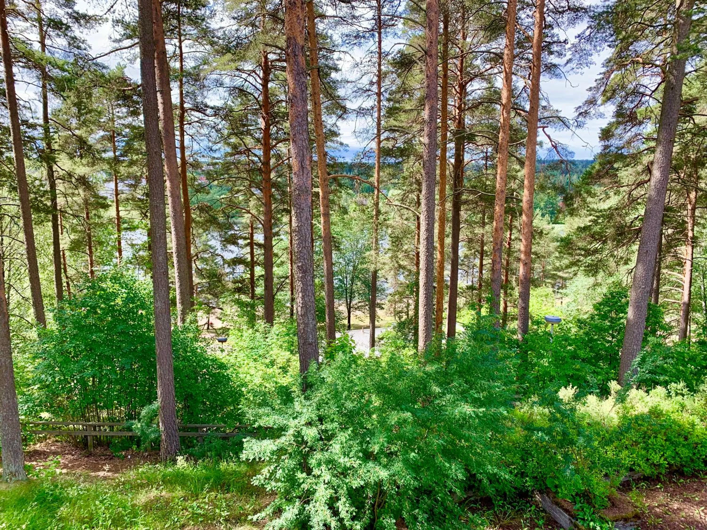 Hotelli Mesku Forssa