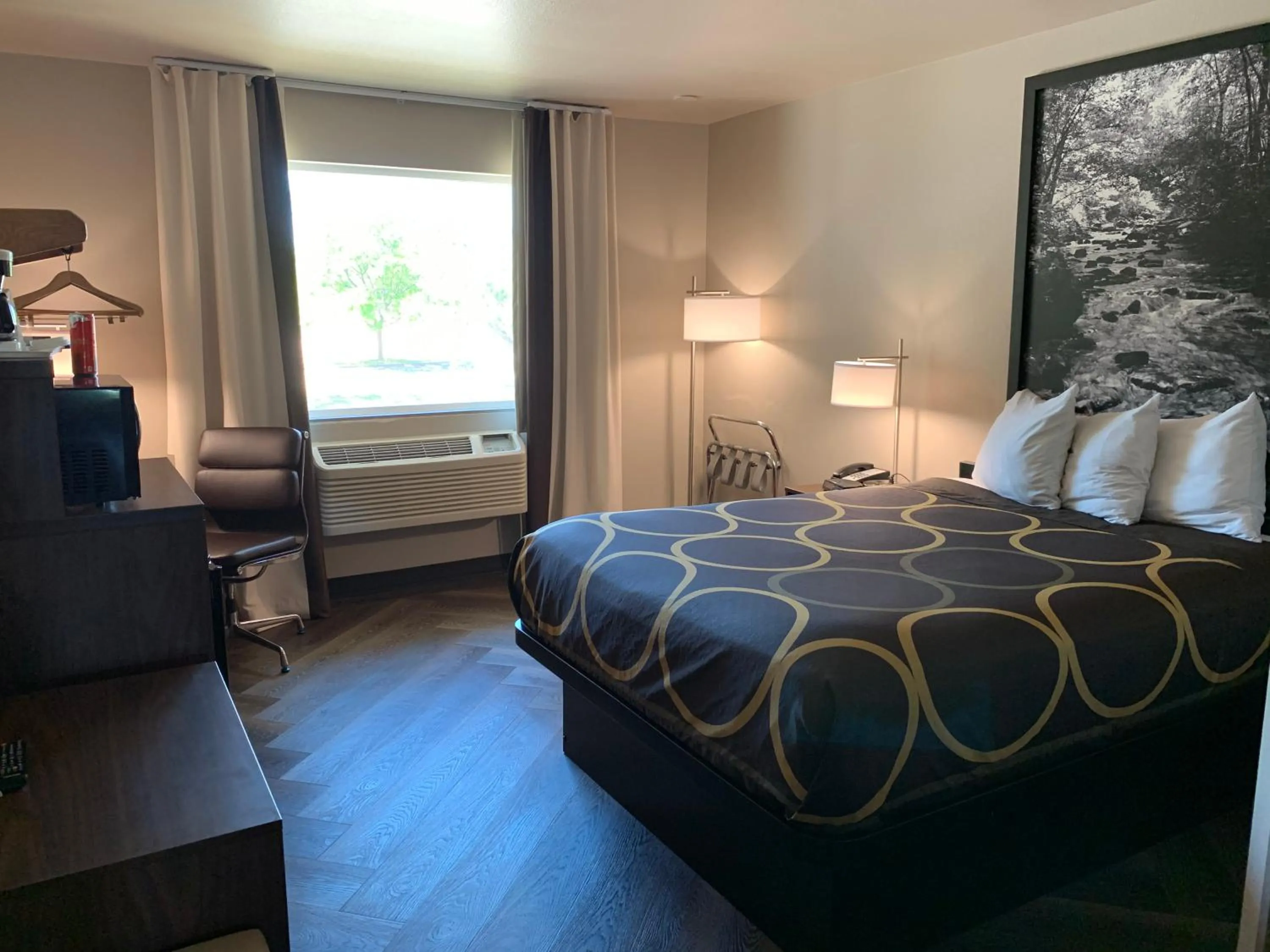 Bedroom, Bed in Super 8 by Wyndham Greeley