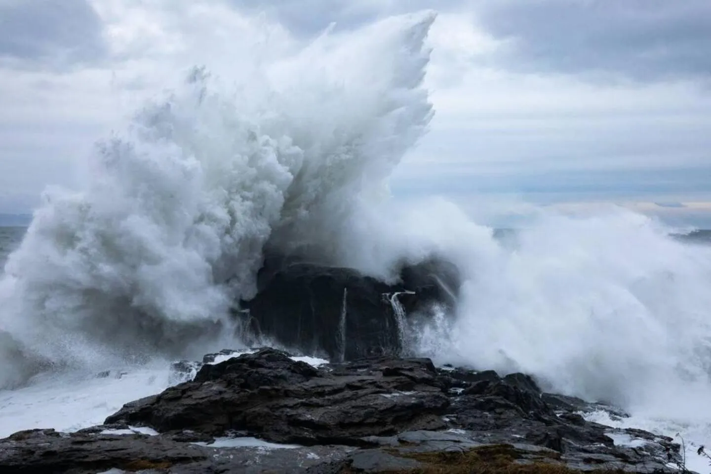 The Great Escape - Shirley